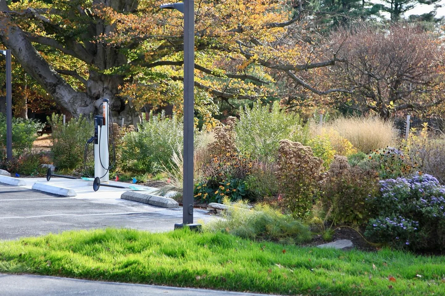 Happy 1st Birthday to this &lsquo;welcome garden&rsquo; at a 63 acre retirement community in Main Line Philadelphia.

Over the past year, this project has been a collaboration with the current landscape manager who saw an opportunity to move away fro