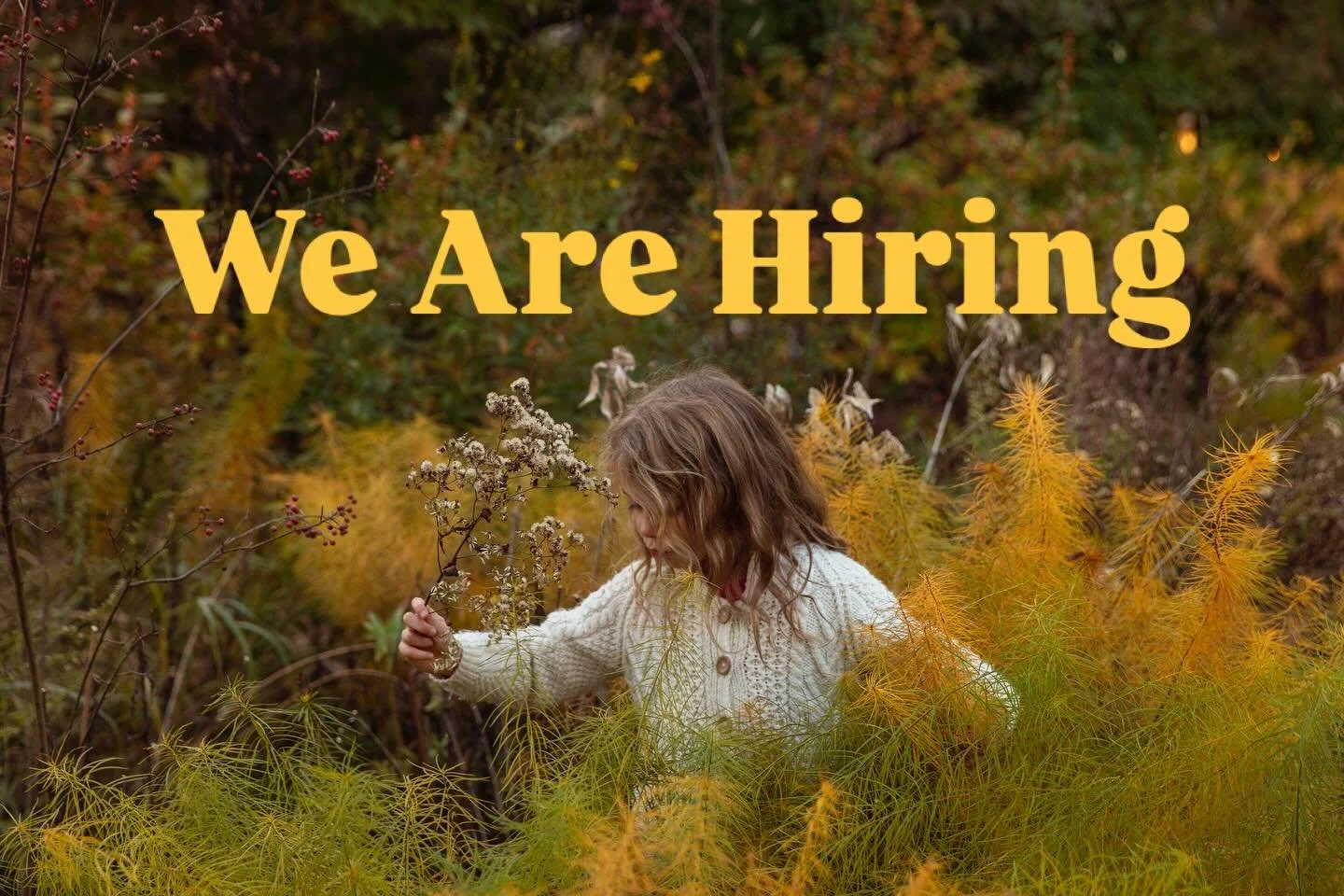 We Are Hiring! Winter is a fine time to strategize for the new season and we are looking to meet a field ops expeditor with excellent financial management chops..

The Field Operations Coordinator manages the expediting of project scheduling, strateg