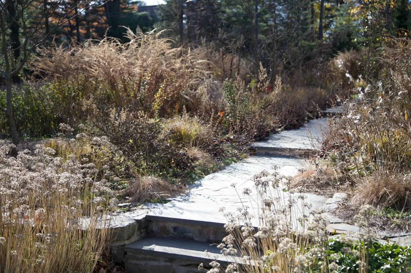 Winter is a season too.

Like you, we are eyeing the forecast for signs of warmer temperatures but that doesn&rsquo;t mean that we don&rsquo;t consider the landscape&rsquo;s character in winter. Whether or not you are interested in preserving nesting