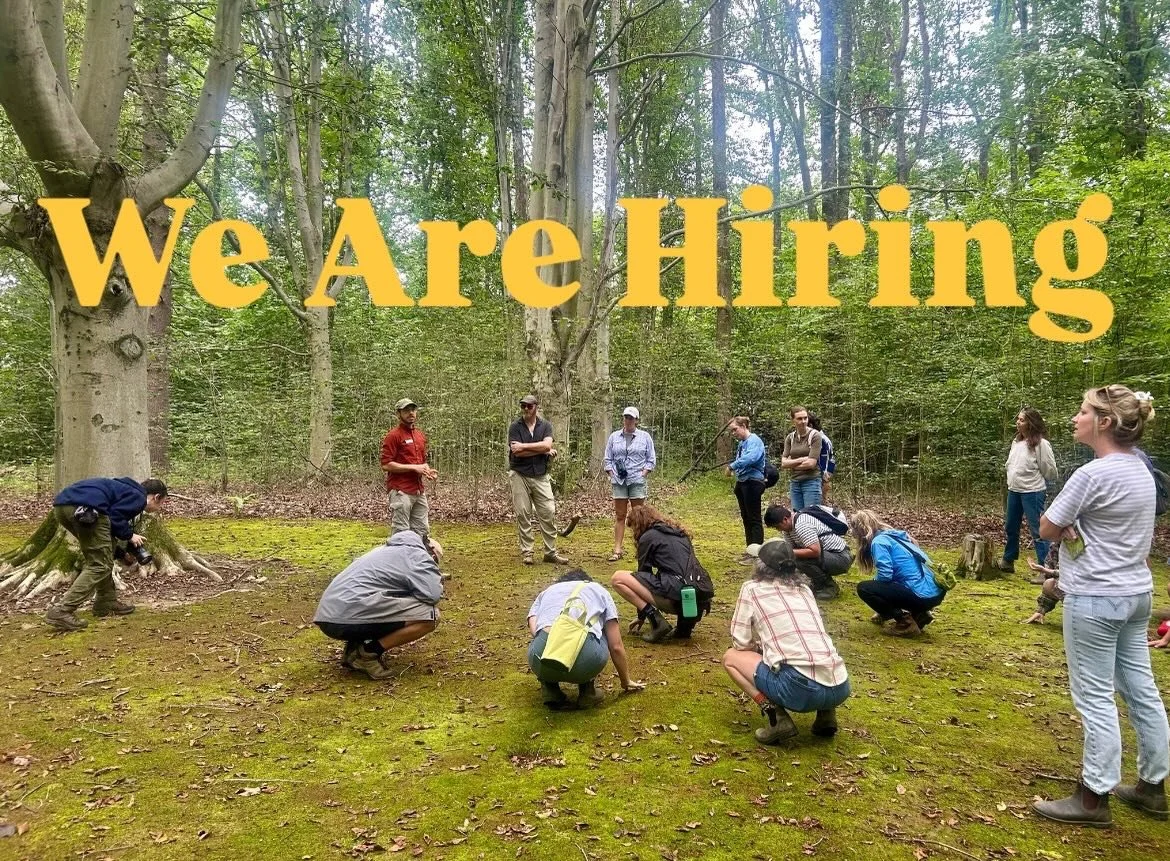 It&rsquo;s February already and we are designing and strategizing for a busy 2026 season. 

Are you someone interested in working within all stages of a project&rsquo;s development from site prep to planting to garden maturation? 

We are currently s