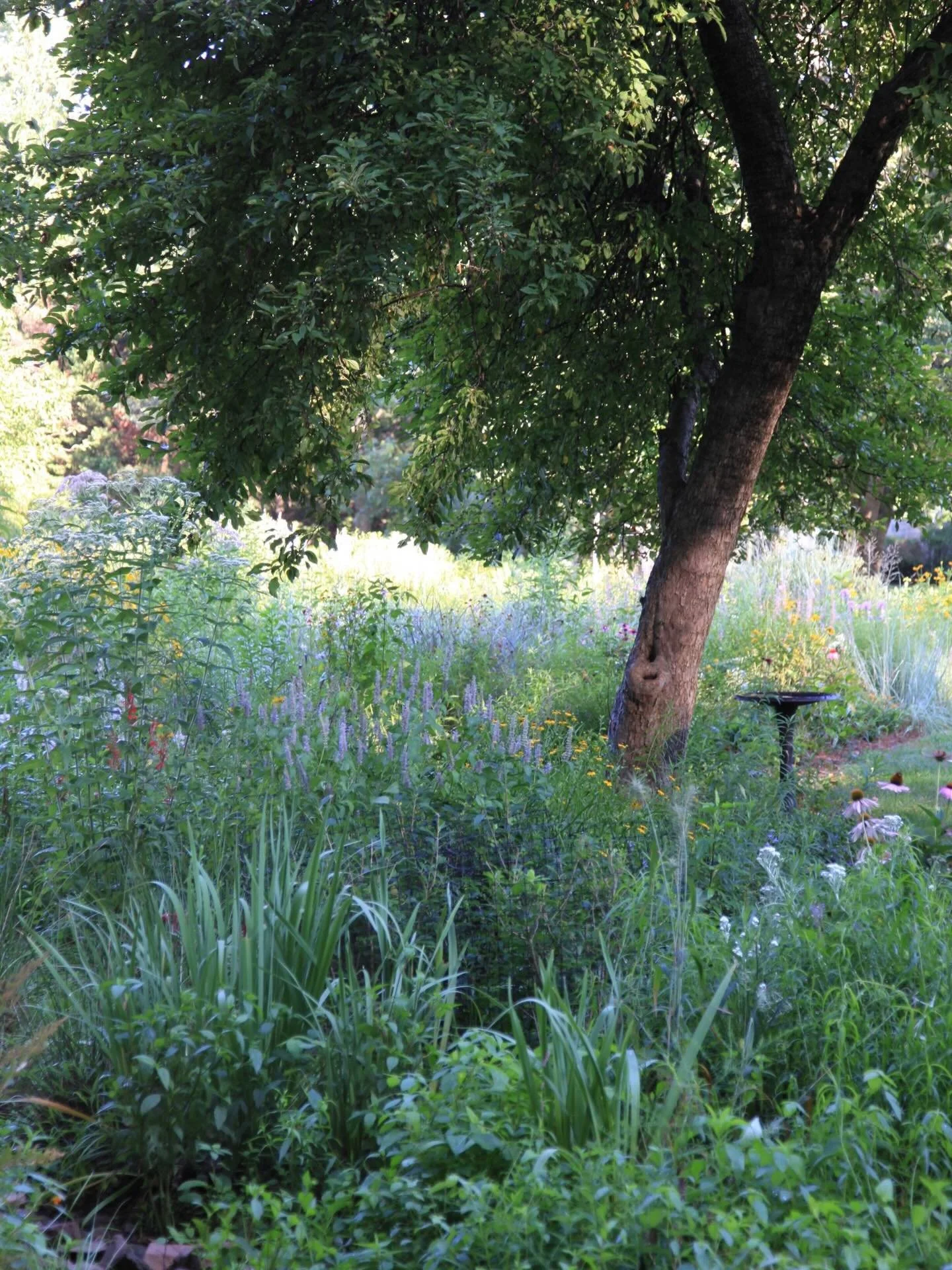 As the we creep towards 50 degrees here in Philadelphia tomorrow, we are feeling ready for spring..!

In an attempt to summon the change in season, we&rsquo;ve added Nancy&rsquo;s garden to the Featured Projects page on our website (link in bio). Why