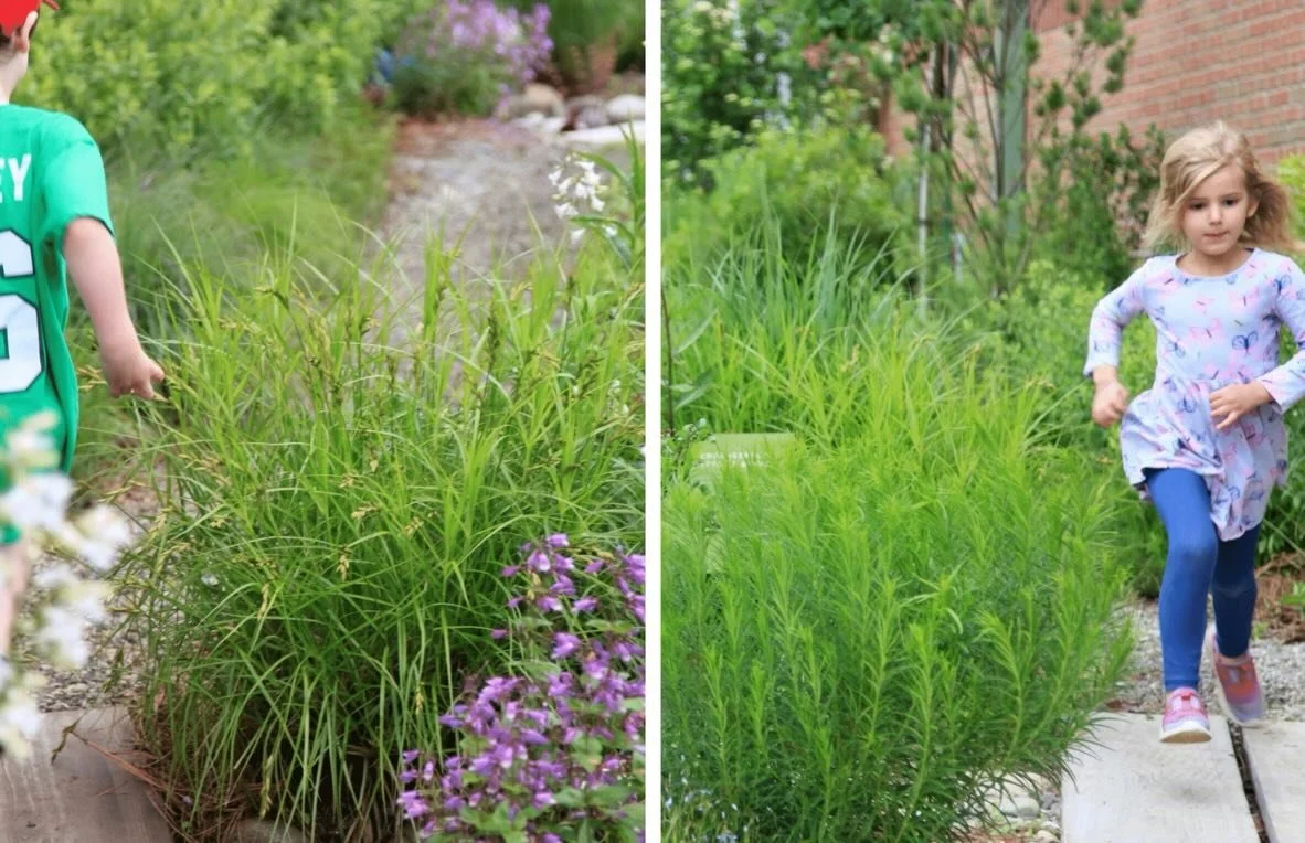 We are super excited to announce our Ecological Literacy Ambassador call for entry - a project co-sponsored by Refugia to be planted this Fall. 

What is an Ecological Literacy Ambassador? It&rsquo;s a public project that is focused on building conne