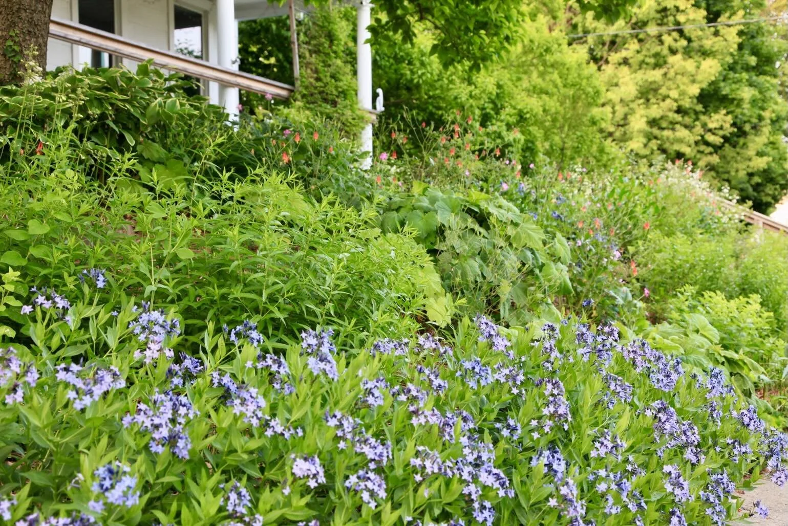 With this week&rsquo;s extreme heat, on came the sprinklers in many suburban lawn dominated landscapes. And if you&rsquo;ve seen footage of flash floodwater pouring into the Jenkintown SEPTA station last night, you might be asking &lsquo;what to do?&