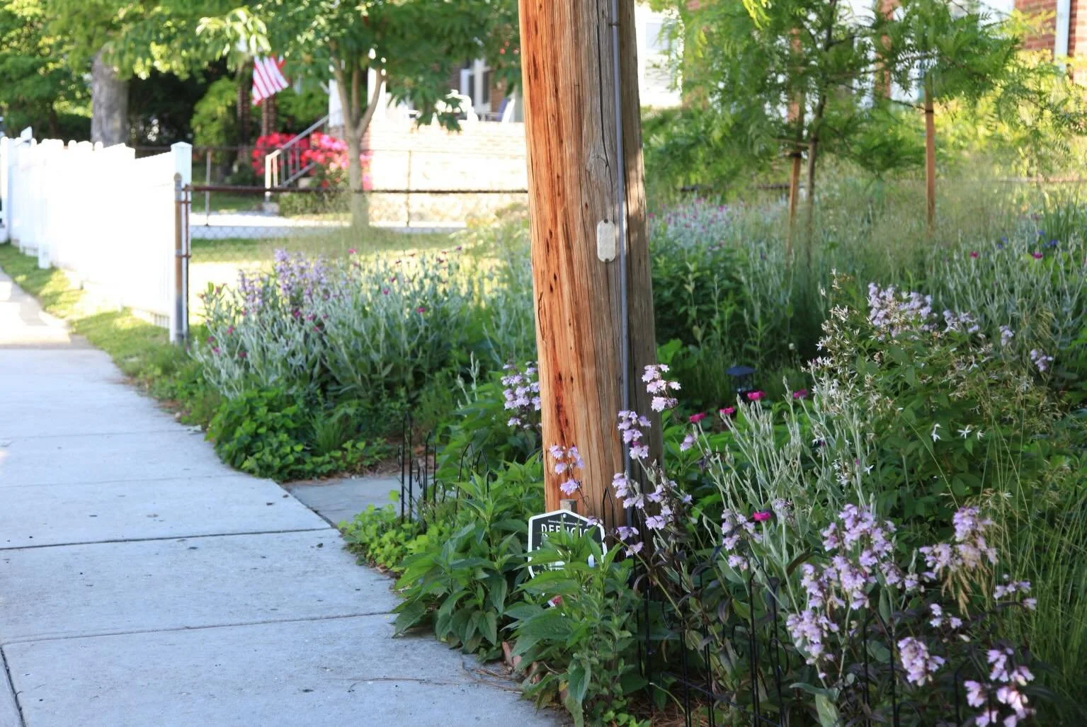 Flipping the script in neighborhoods can feel daunting. But it doesn&rsquo;t have to be all or nothing.

This gardening-loving client sought a reimagining that reduced lawn, captured stormwater and rethought walkways. Working together, we replaced im