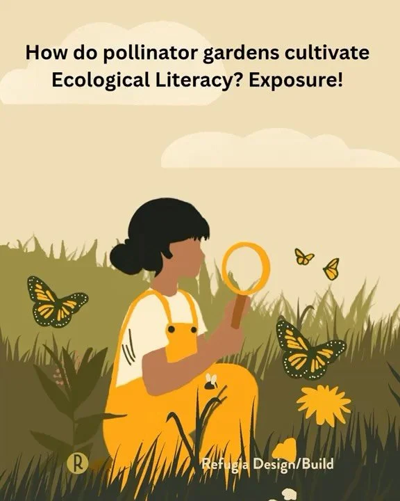 How do pollinator gardens cultivate ecological literacy in neighborhoods? Answer - repeat exposure!

When we plant a diversity of native plant species, the tiny inhabitants that run the world show up in huge quantities. Whether it&rsquo;s birds, butt