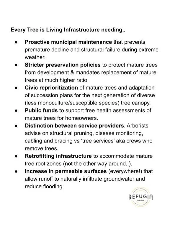 The answer is not to vilify trees.

On Saturday, a series of 4 microbursts caused unprecedented damage in Lower Merion (where we are located), West Philadelphia and South Philadelphia. Unlike the rotating air of a tornado, a microburst is a sudden, p