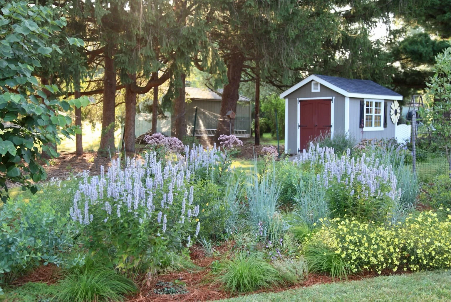 Sometimes I really believe it, that I am going to save my life

a little.&rsquo; Poet Mary Oliver.

Though she&rsquo;d maybe not admit it, homeowner Mary Linda is a thoughtful gardener and carer of things. You feel that upon arriving at her home that
