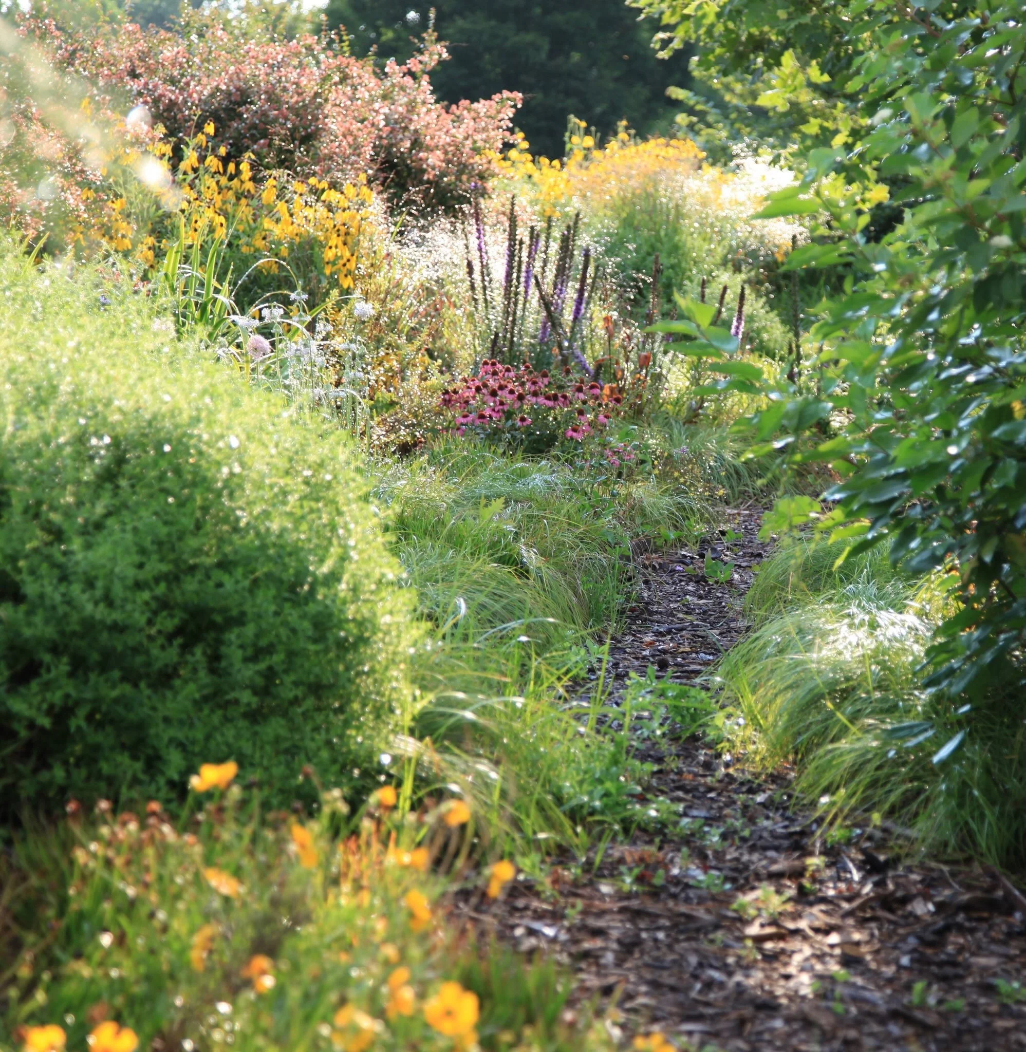 Dean &amp; Chris love color and structure. 

When reimagining their landscape post tornado, Dean &amp; Chris aspired towards &lsquo;beauty and calm; a good place for pollinators to be busy (with) nearby cover for songbirds.&rsquo; With the loss of th