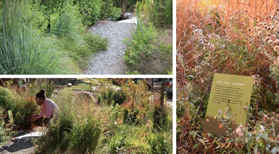 Happy Friday &amp; congrats to all 2026 Perennial Plant Association Landscape Design Award winners!

This year, we were awarded two Merit awards in the Residential &amp; Public Horticulture categories and as ever, we are honored to be recognized in s