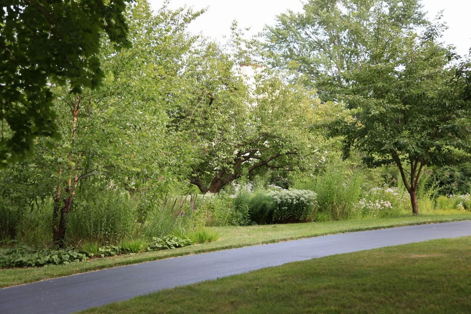 We often get asked if we create rain gardens. Our response? All landscapes are rain gardens.

We design with water in mind because the climate requires us to. Excessive heat, drought and rainfall mean that all landscapes should have the capacity to r