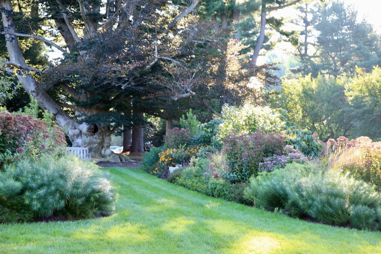 Converting traditional landscaping into climate resilient landscaping can take imagination. And sometimes, you just need to see the before and after side-by-side to appreciate what&rsquo;s possible.

After meeting on site two summers ago, we&rsquo;ve