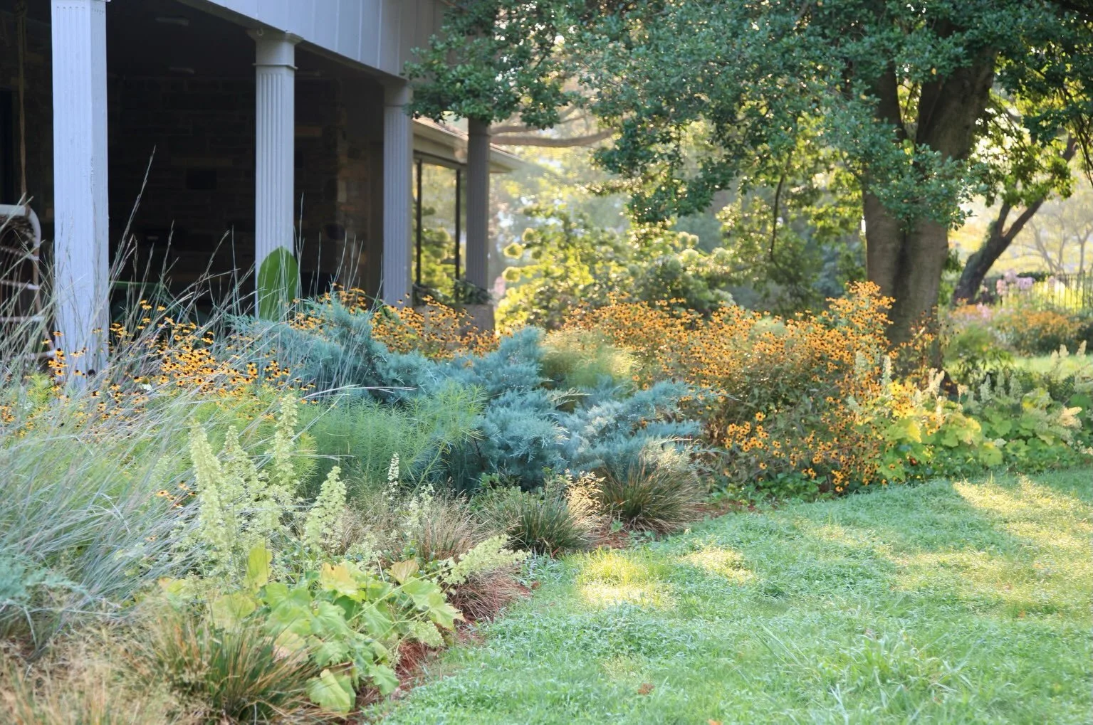 &ldquo;Formerly city residents, we bought a suburban property whose landscape had been greatly neglected, without realizing what we took on. 5 years in, we have managed to control poison ivy and cut down a large bamboo stand, but struggle with an ove