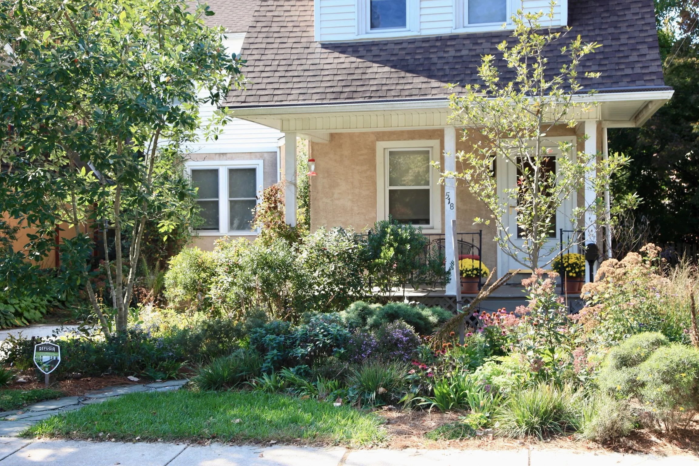 Repairing a sewer line can mean major disruption. In this case, the removal of a mature spruce and privet. When this happened, these homeowners reengaged us to expand their planting and 1 year on, this pretty front yard is settling in nicely.

But th
