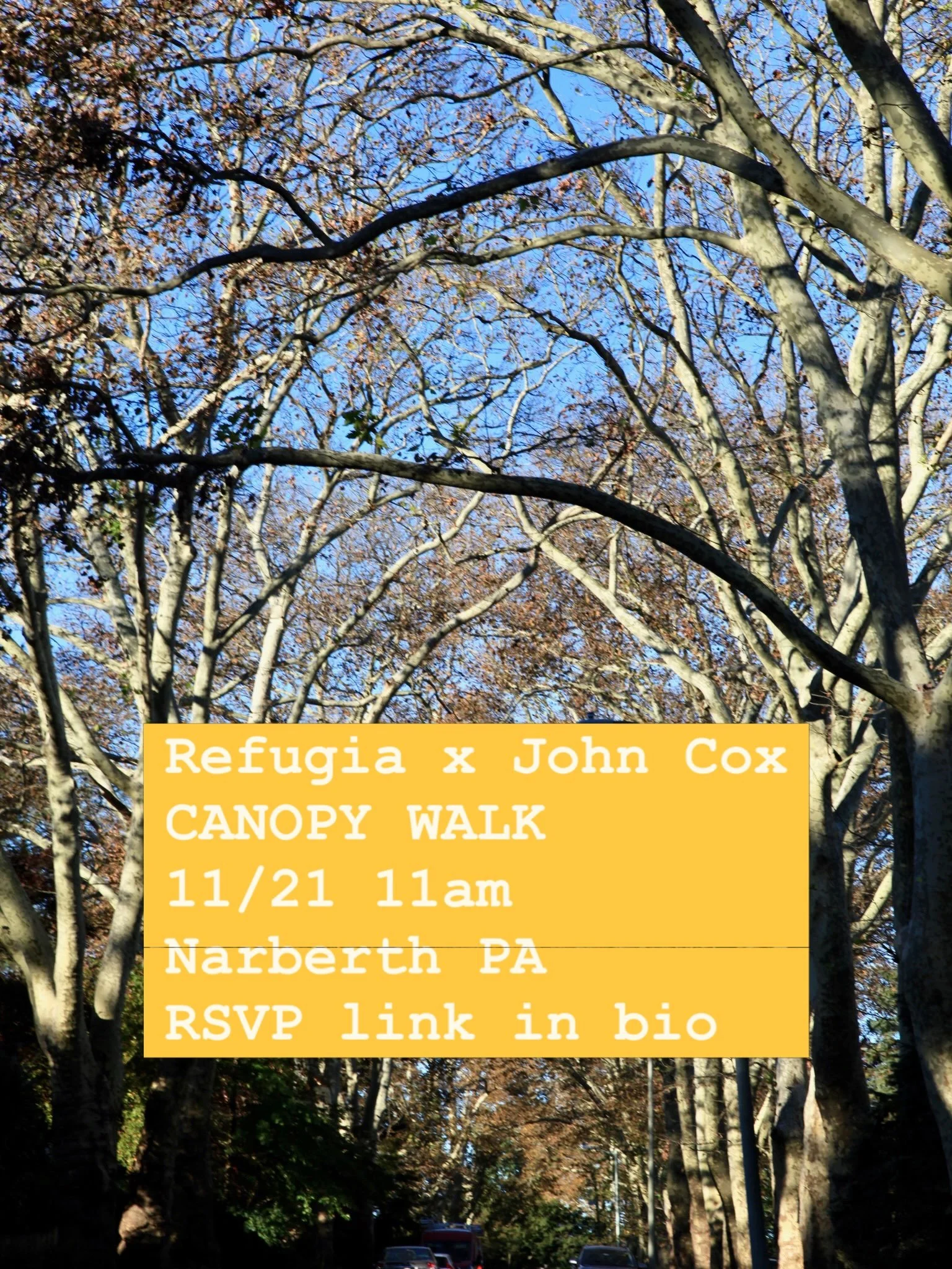 Join us on Saturday Nov 11th at 11am for a Canopy Walk in Narberth with master arborist John Cox.

Established tree canopies represent the character and heritage of neighborhoods. The epitome of beauty &amp; function, trees actively regulate urban me