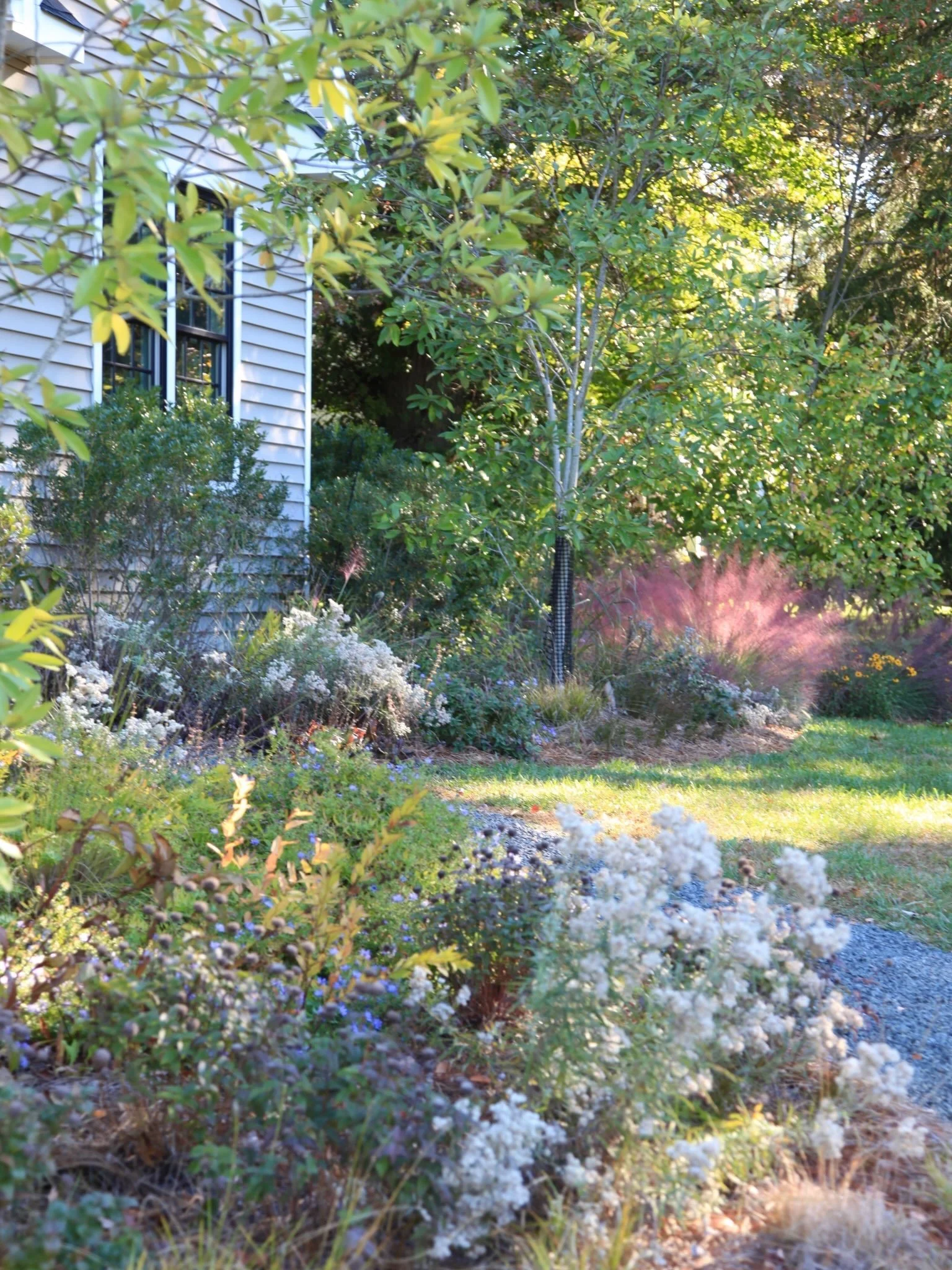 We love the landscape&rsquo;s long architectural exhale as the season shifts and the temperatures cool. 

We were overdue a progress report on this much loved Cherry Hill, NJ project that we continue to steward. Working in phases over multiple season