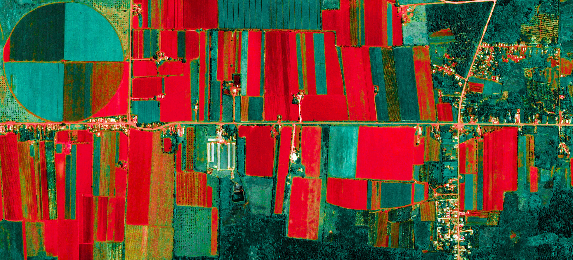 Image detail