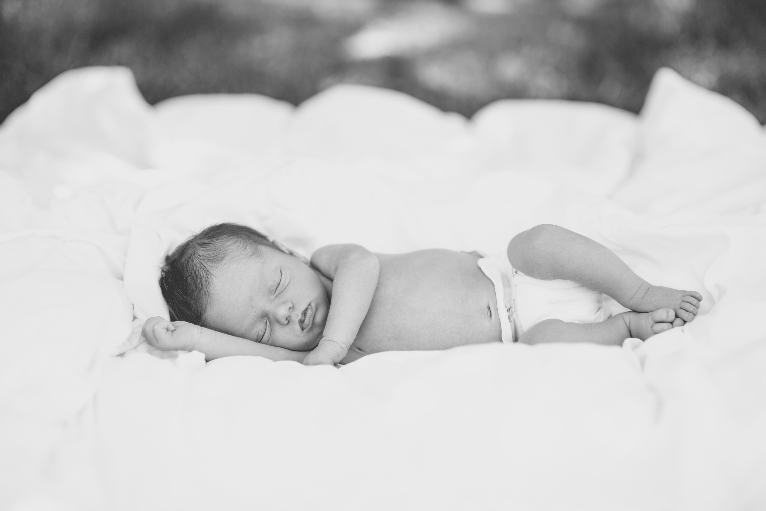lindybeth photography-6.jpg