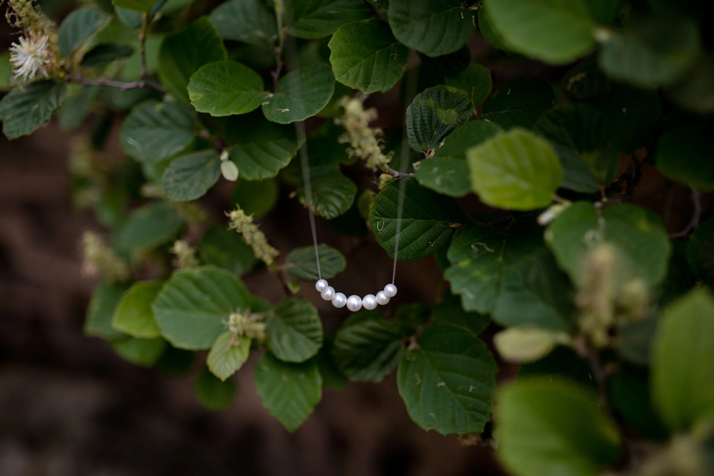 LindyBeth Photography-21.jpg