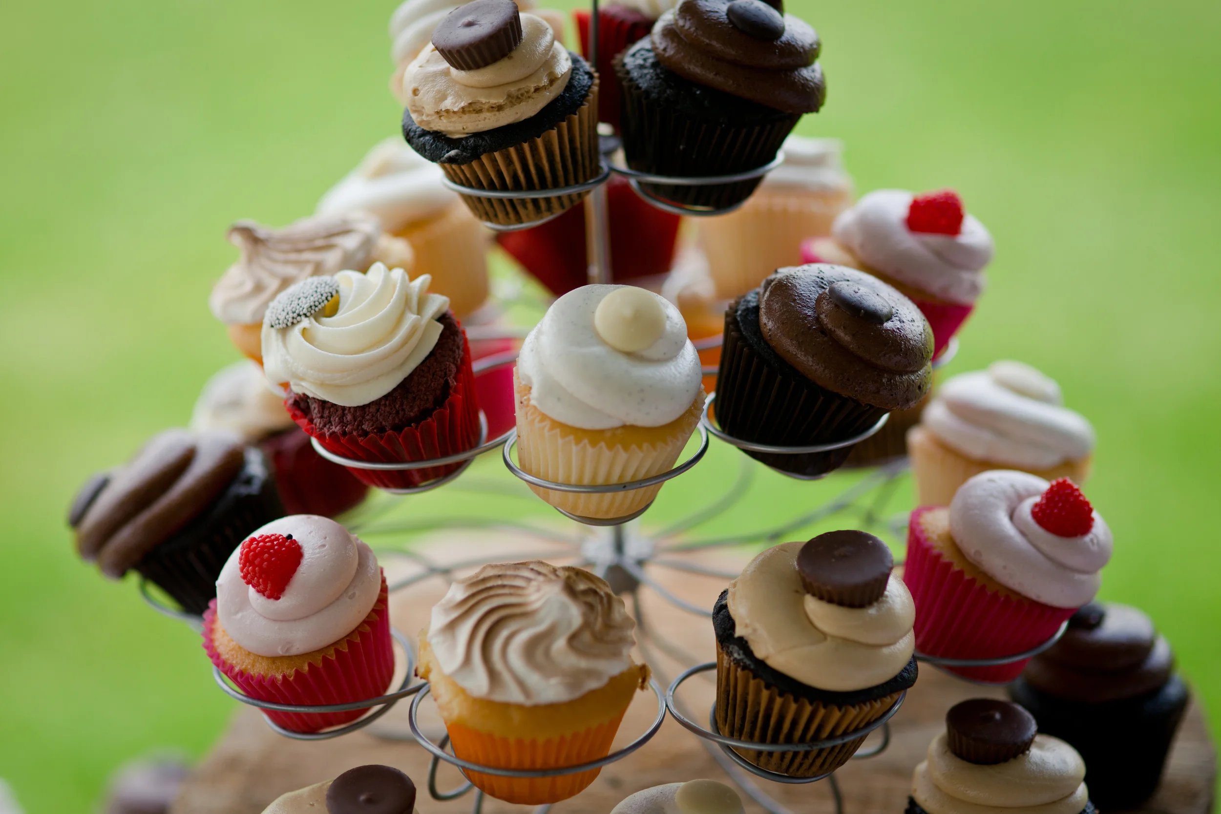 LindyBeth Photography-180.jpg