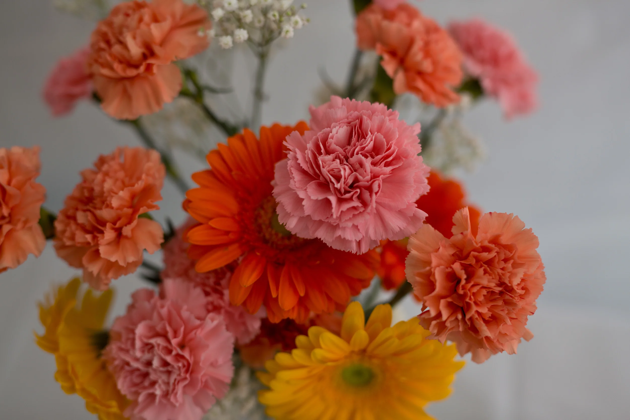 LindyBeth Photography-183.jpg