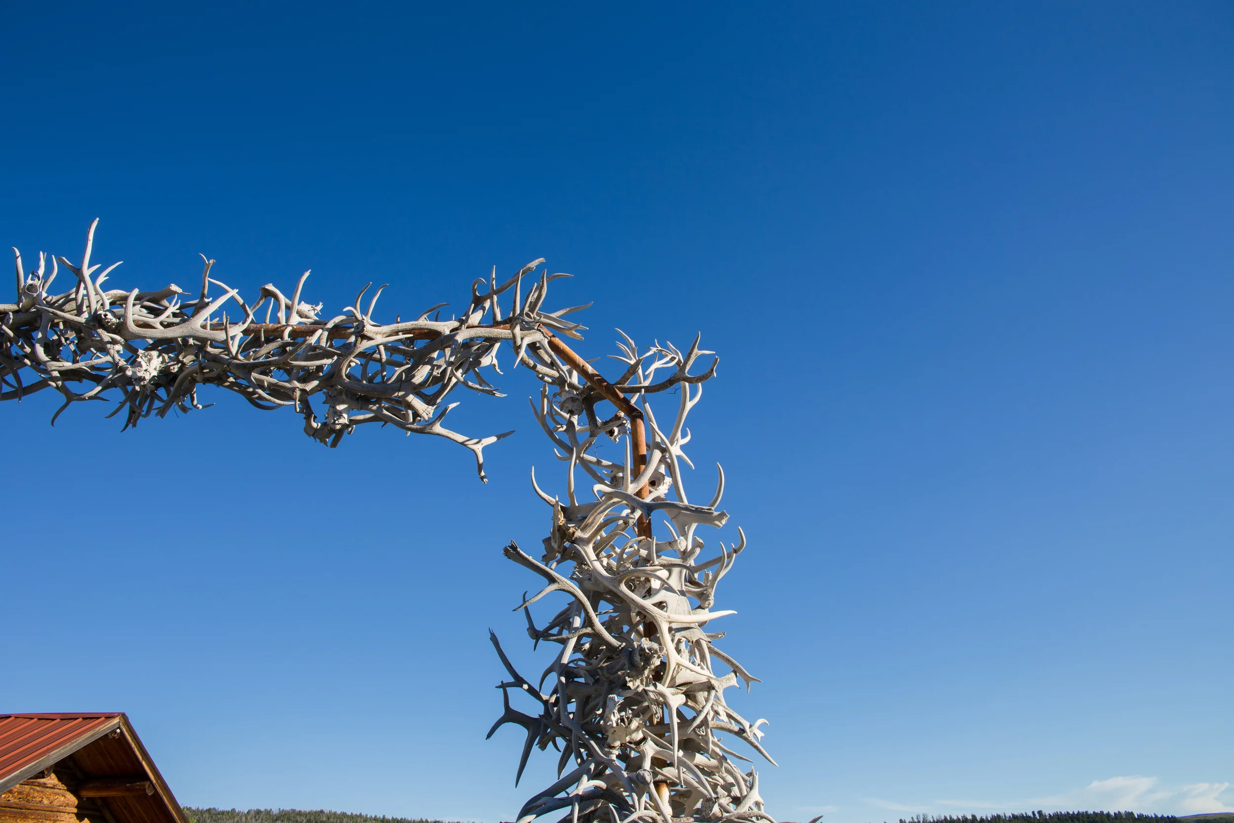 wilderness-24.jpg