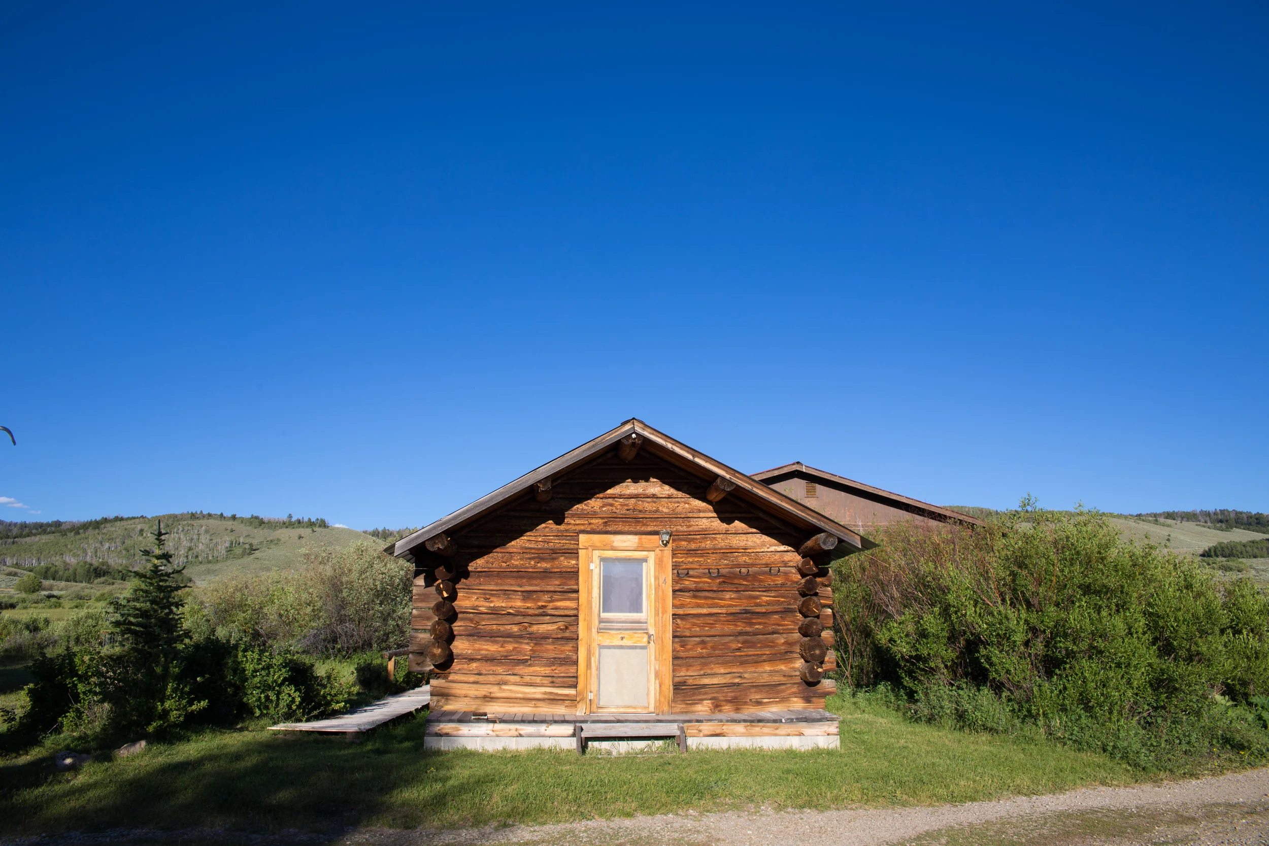 wilderness-25.jpg