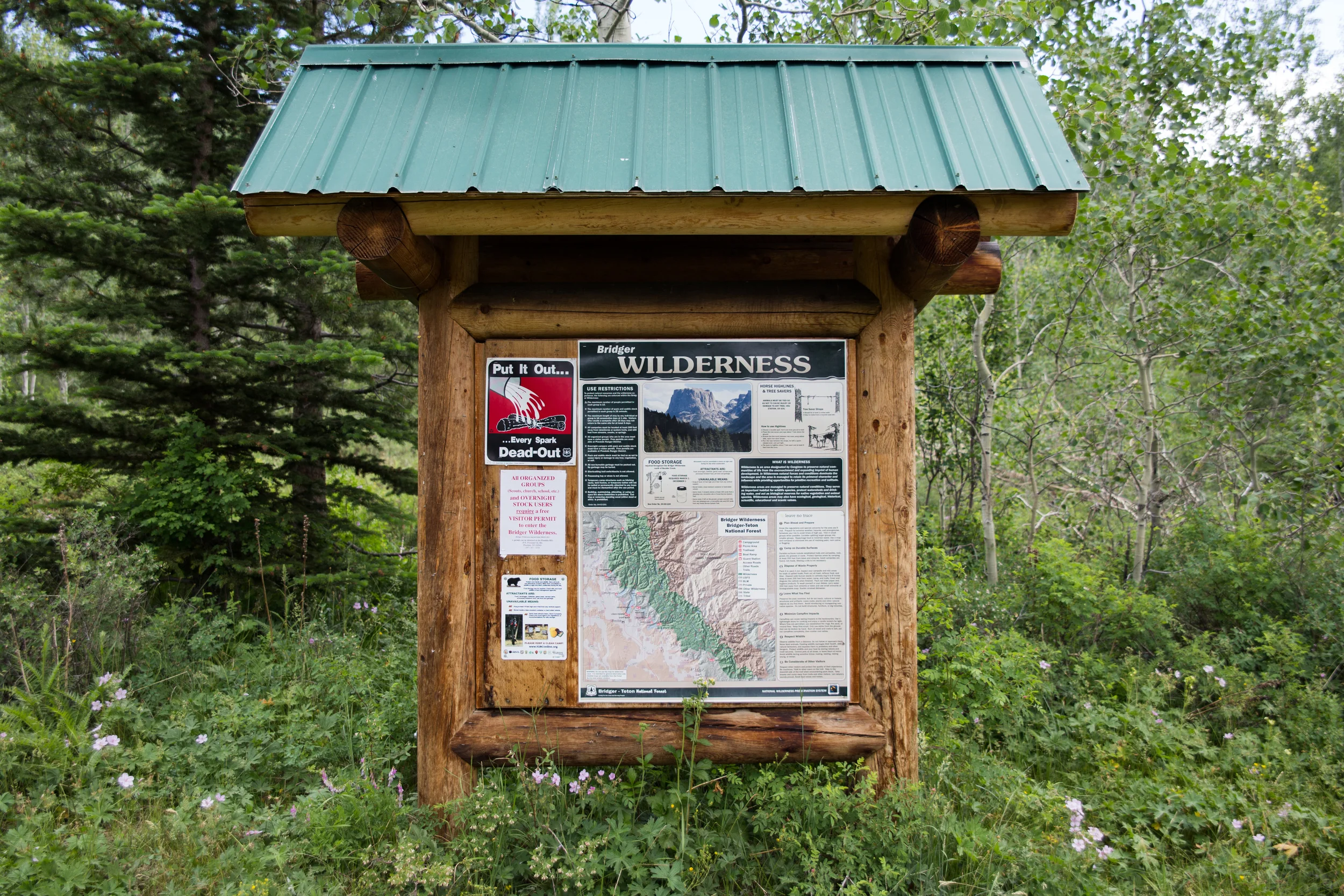 wilderness-28.jpg