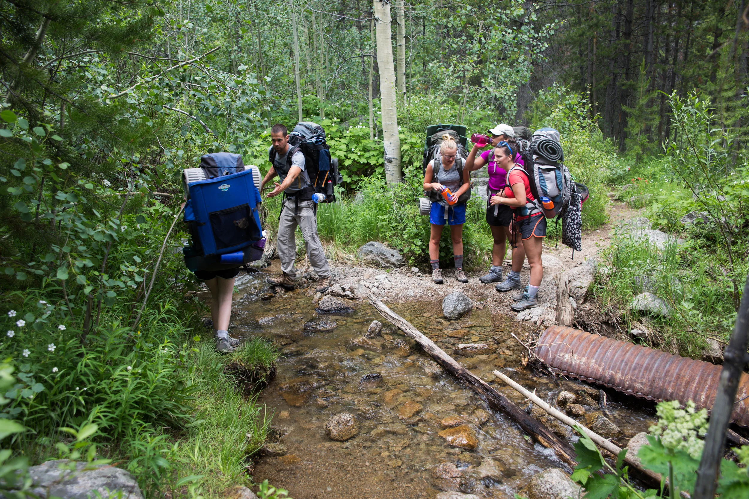 wilderness-37.jpg