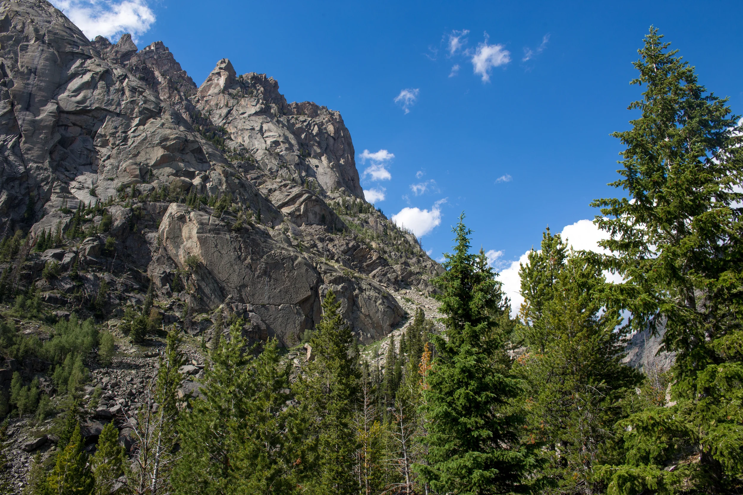 wilderness-42.jpg