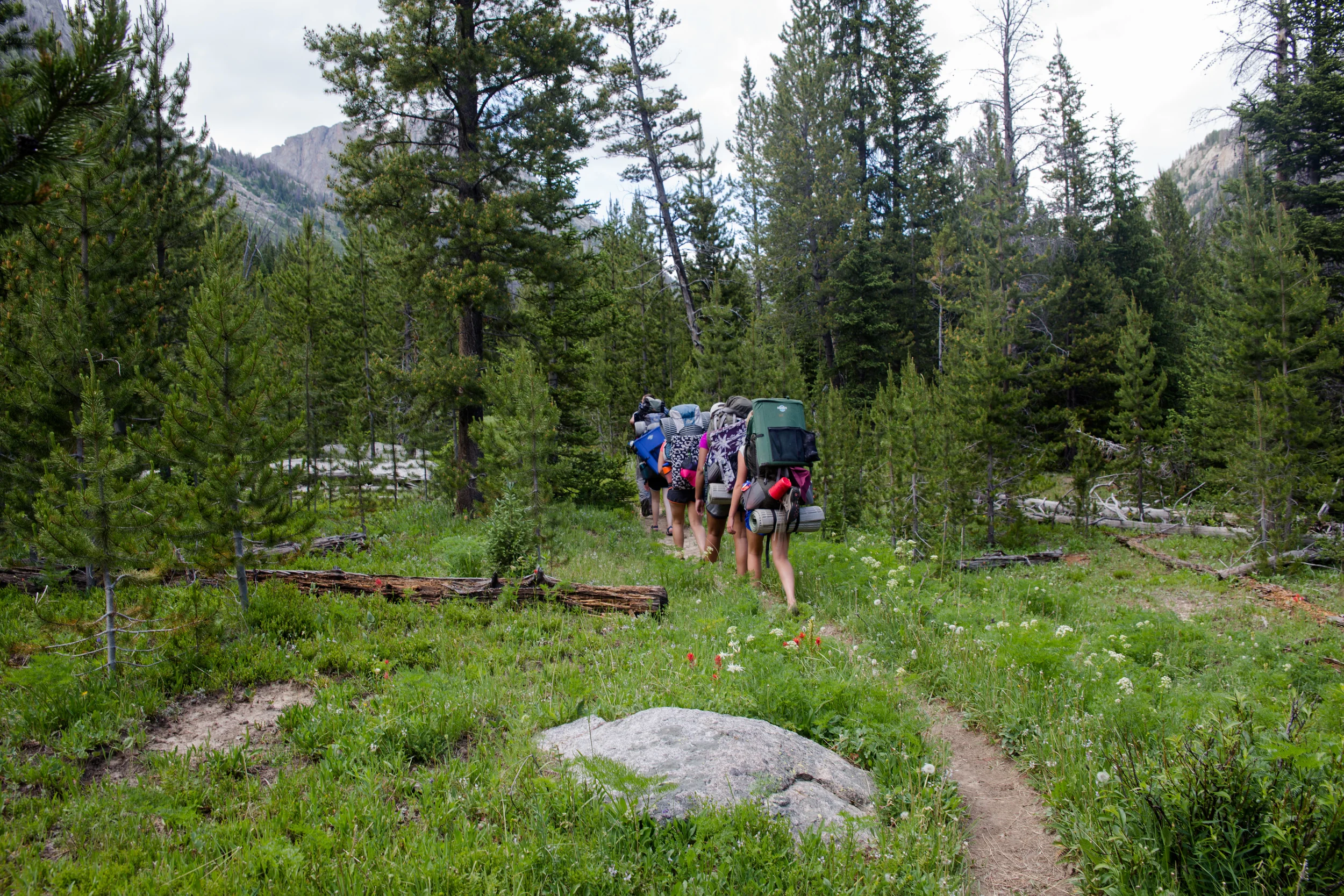 wilderness-44.jpg