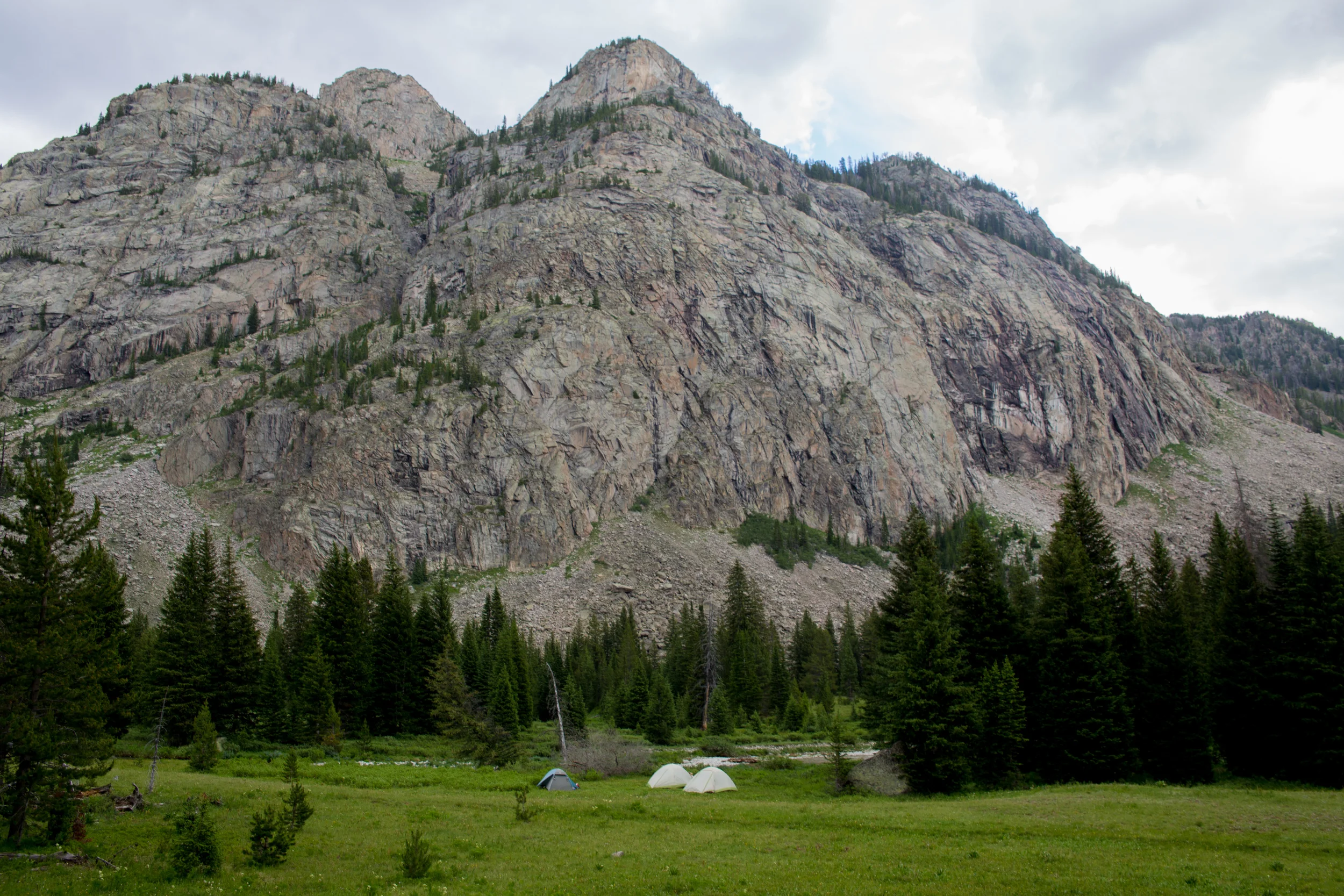 wilderness-46.jpg