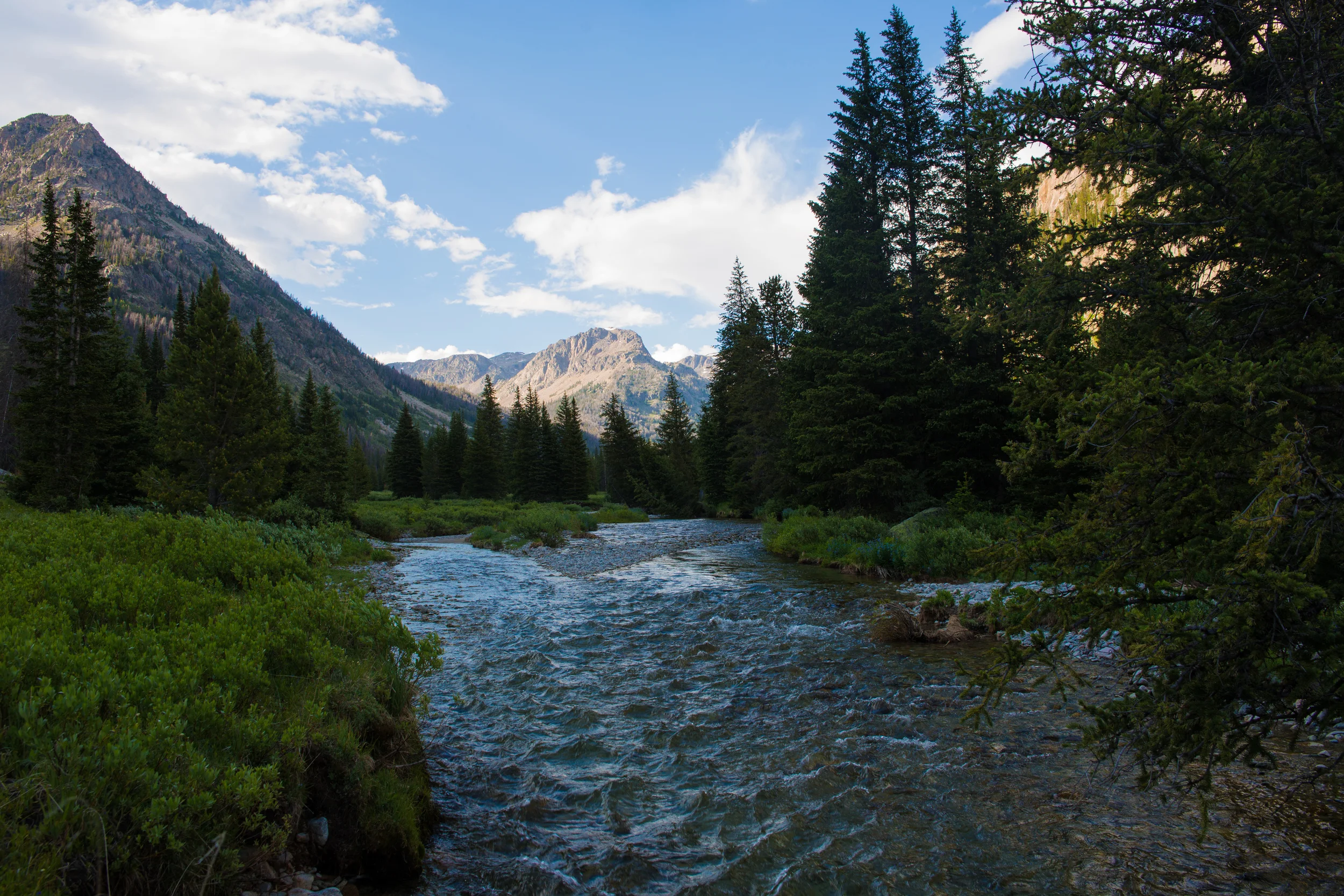 wilderness-47.jpg