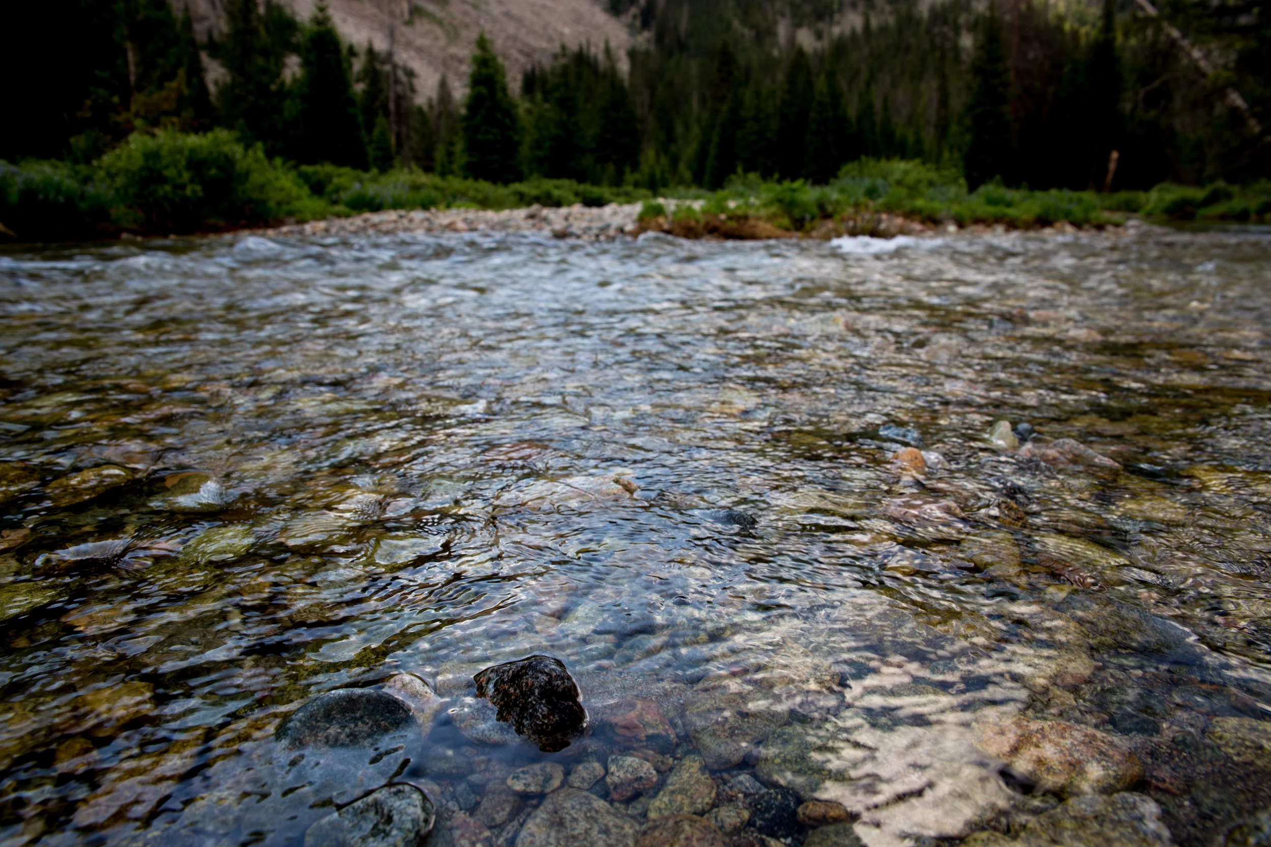 wilderness-49.jpg