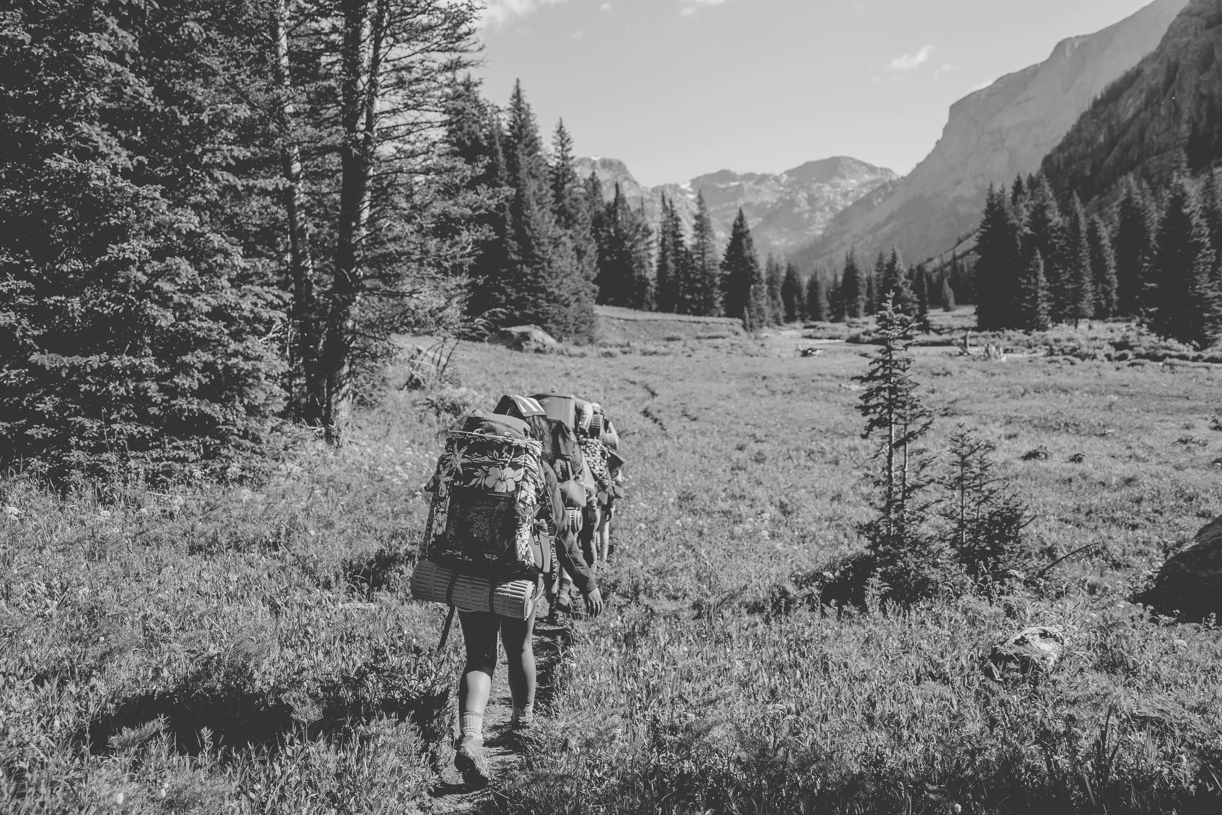 wilderness-53.jpg