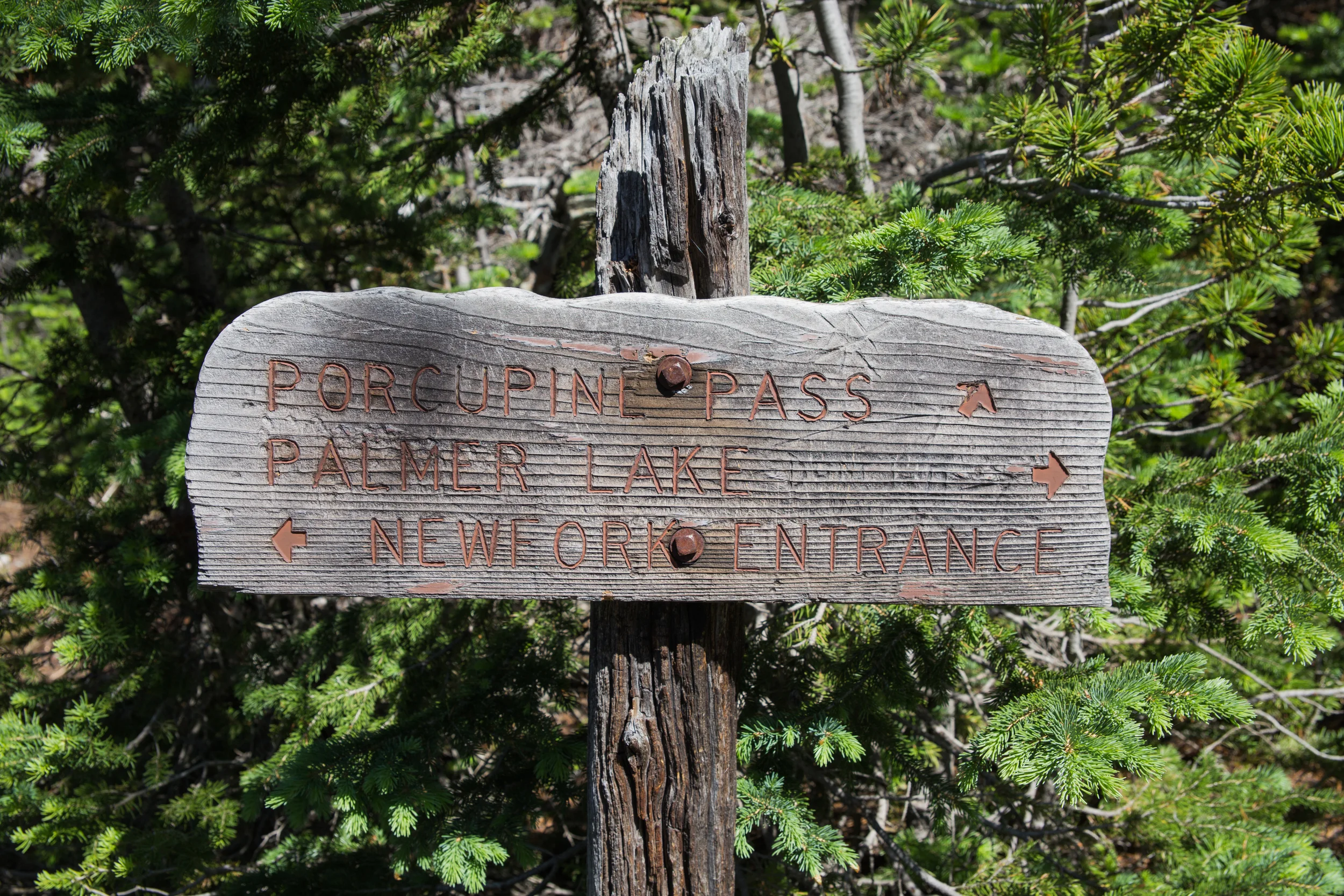 wilderness-54.jpg