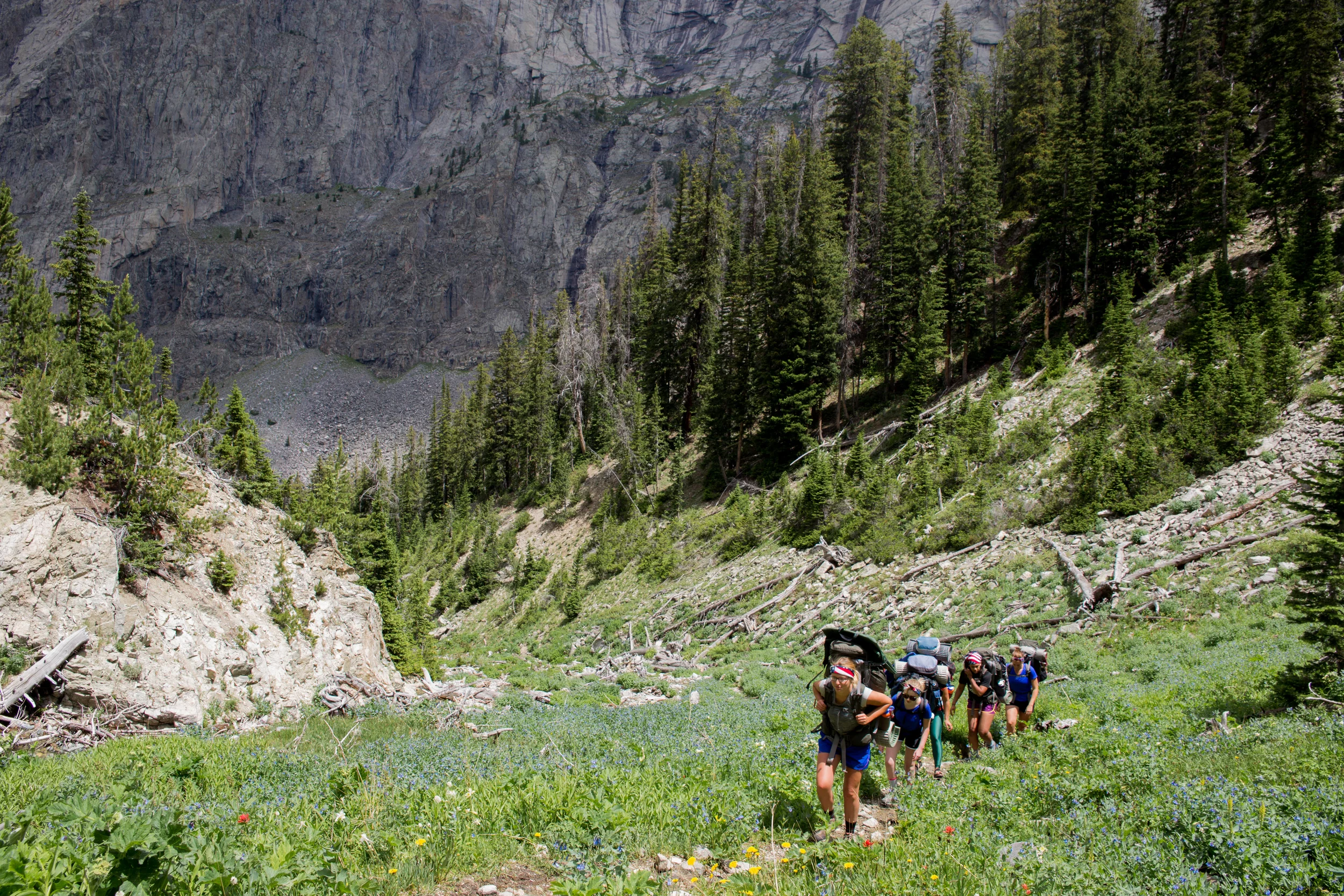 wilderness-55.jpg