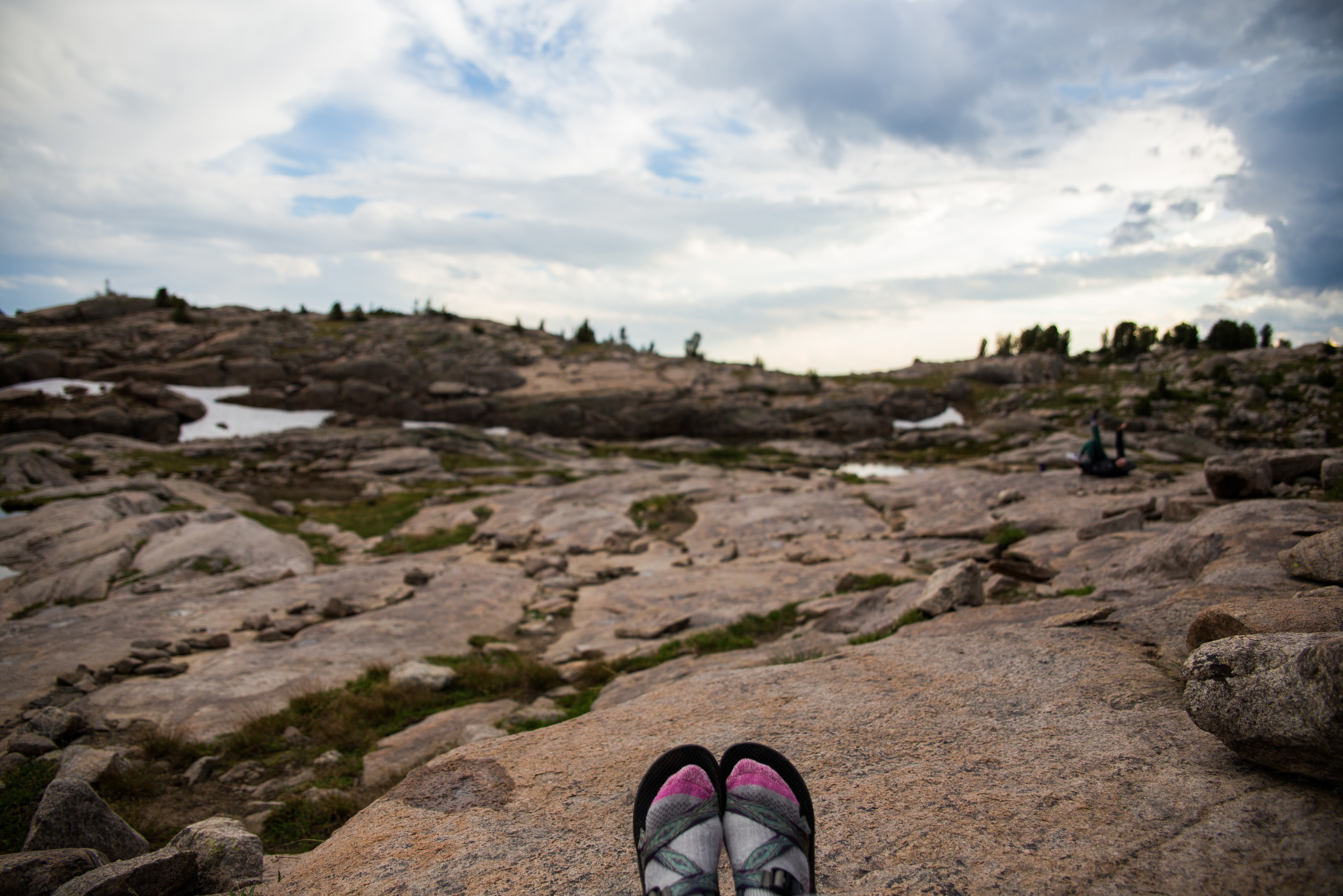 wilderness-65.jpg