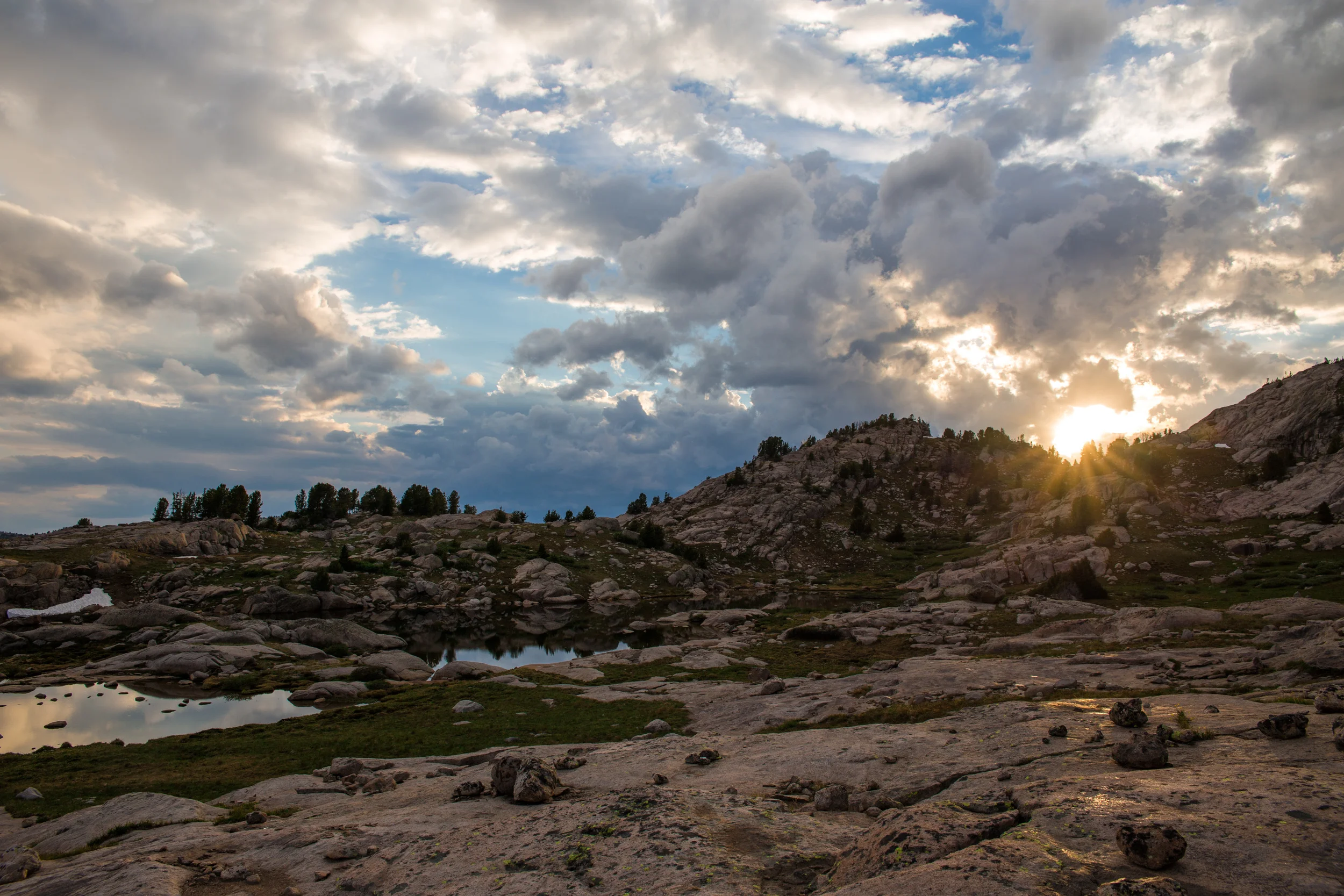 wilderness-67.jpg