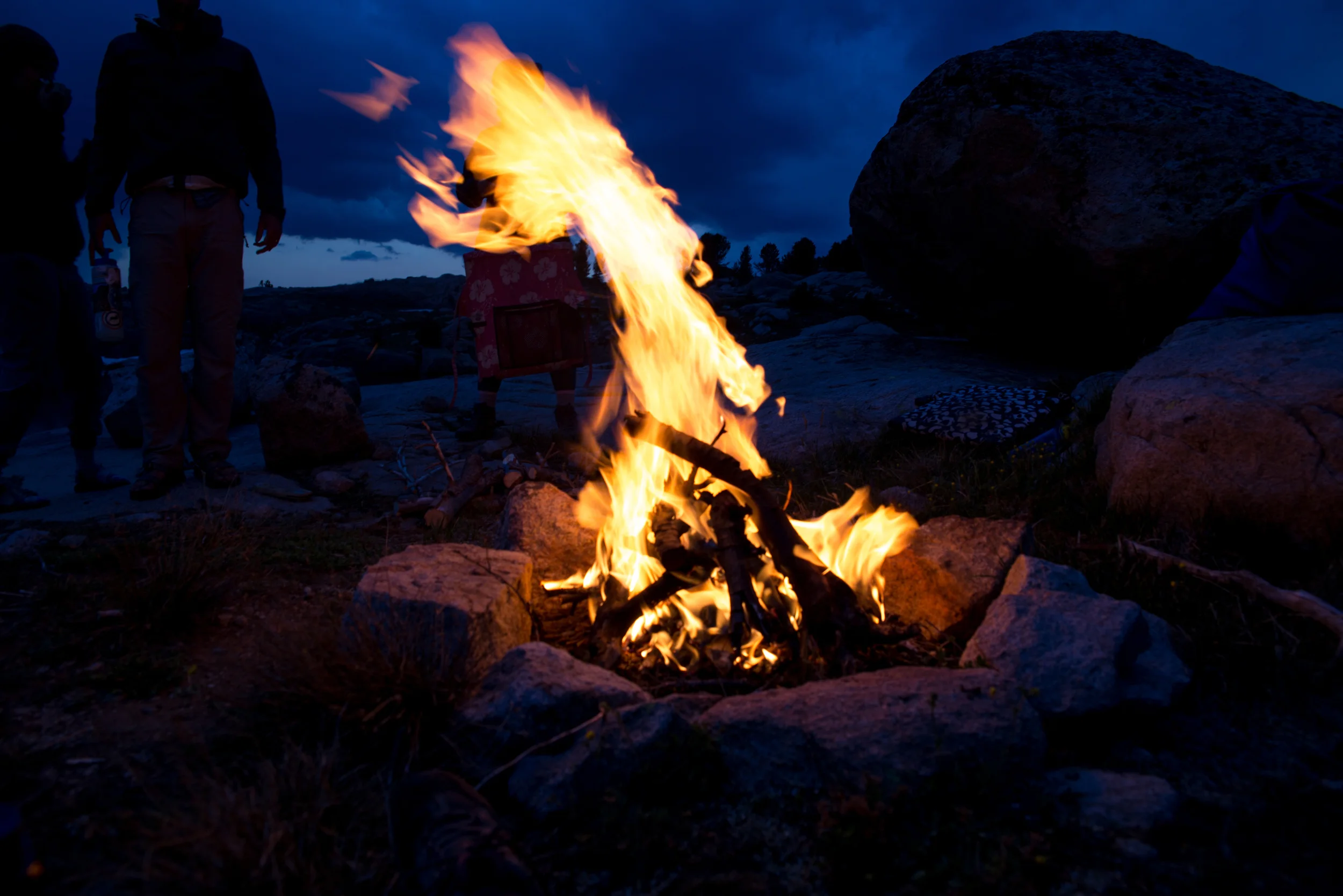wilderness-75.jpg