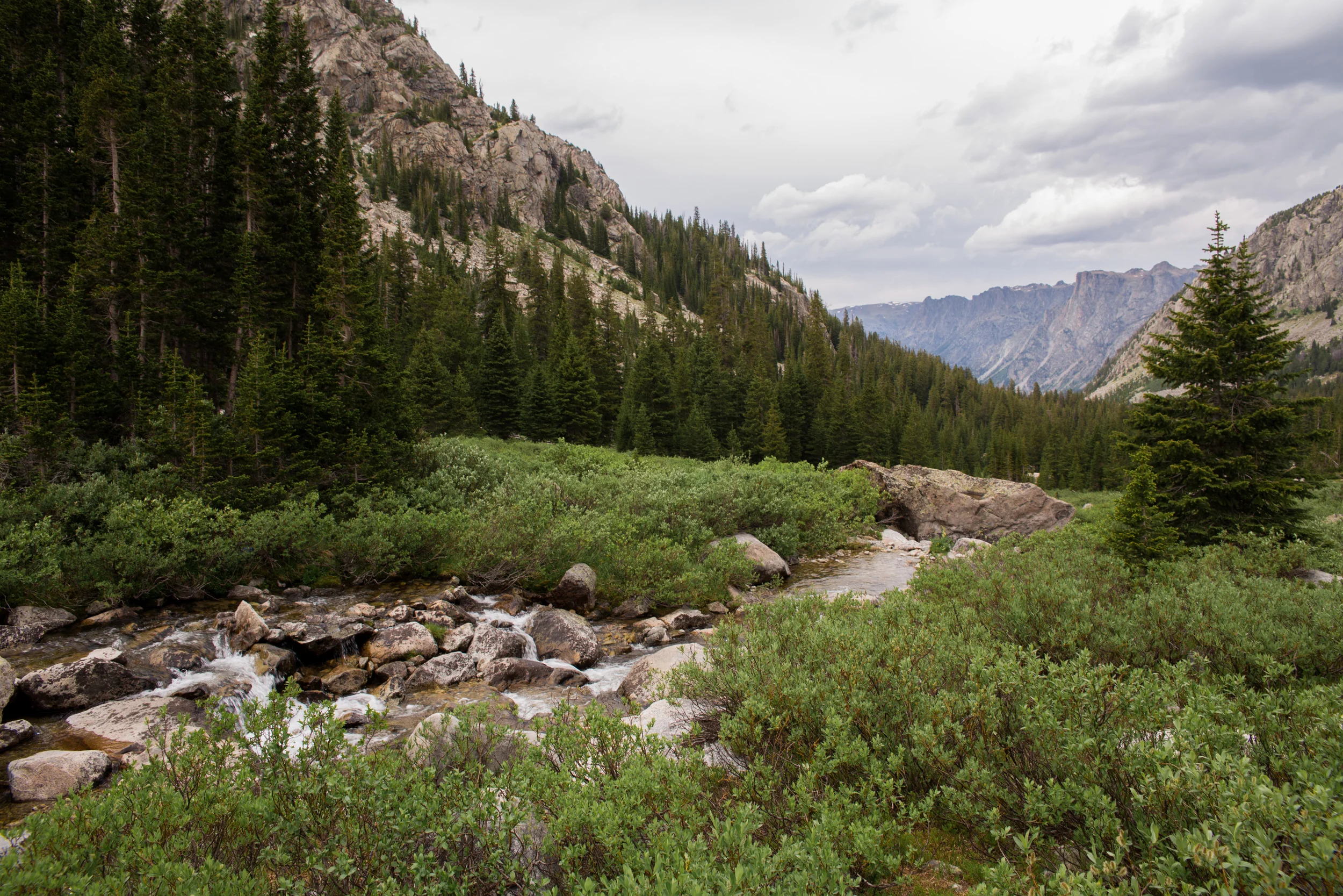 wilderness-82.jpg