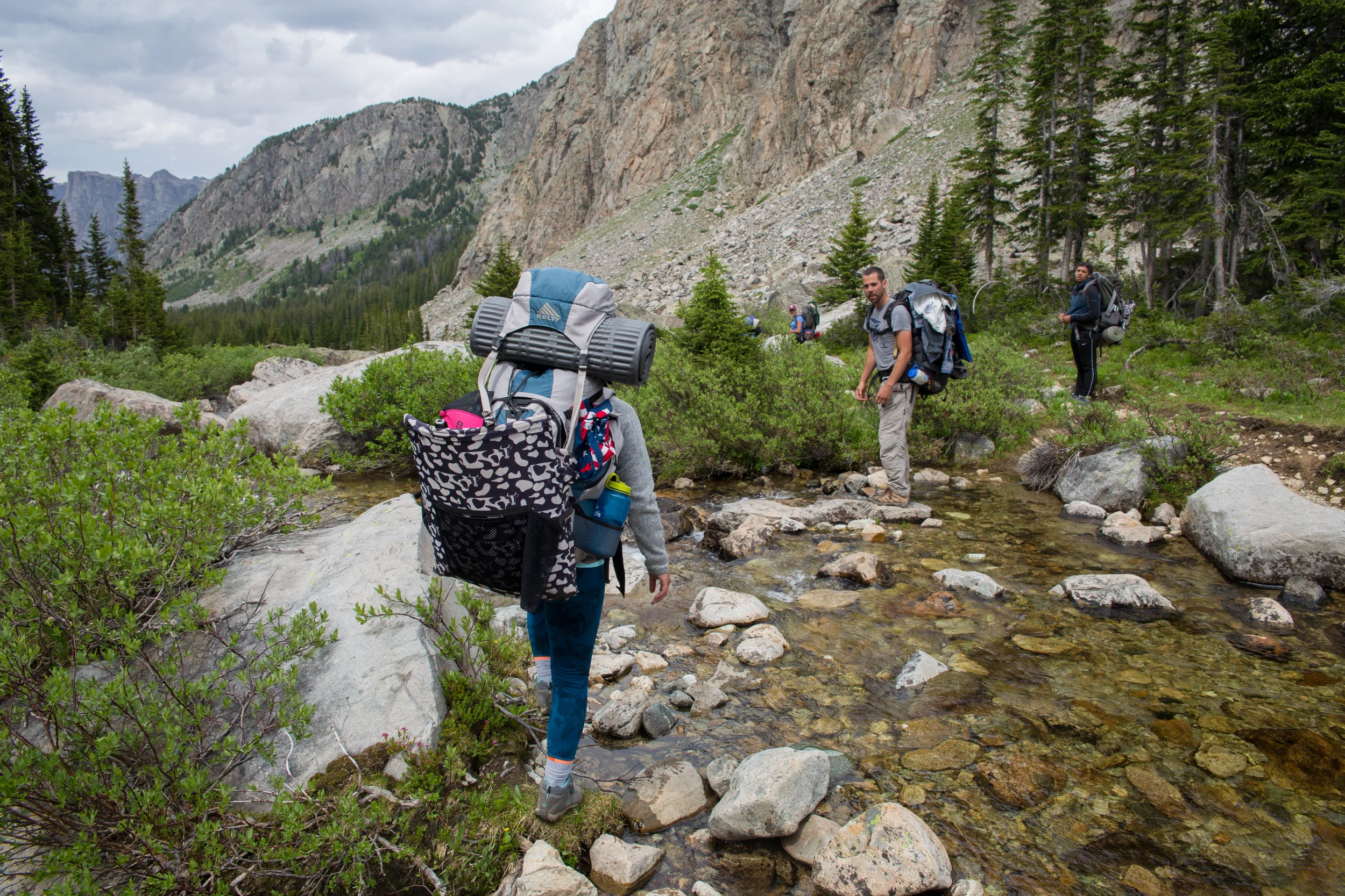 wilderness-81.jpg