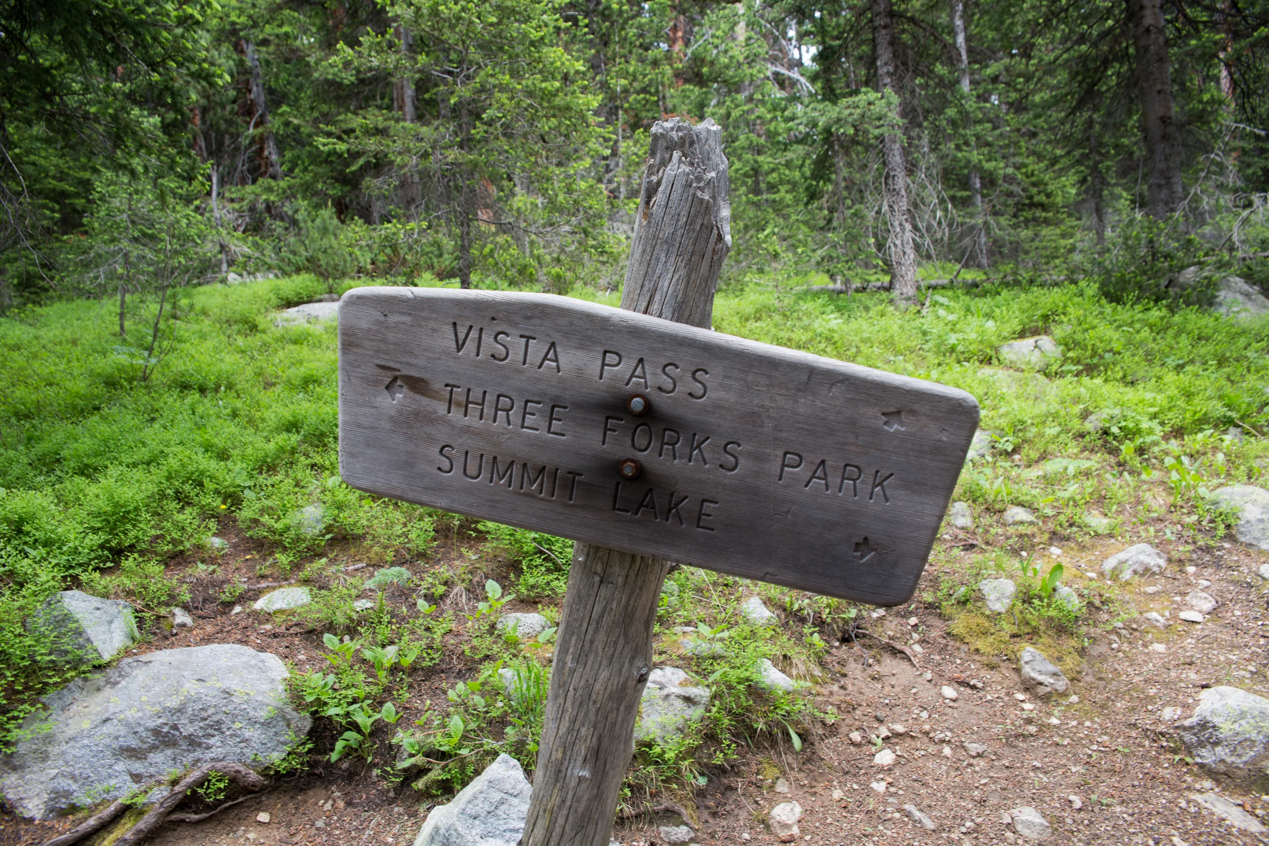 wilderness-84.jpg