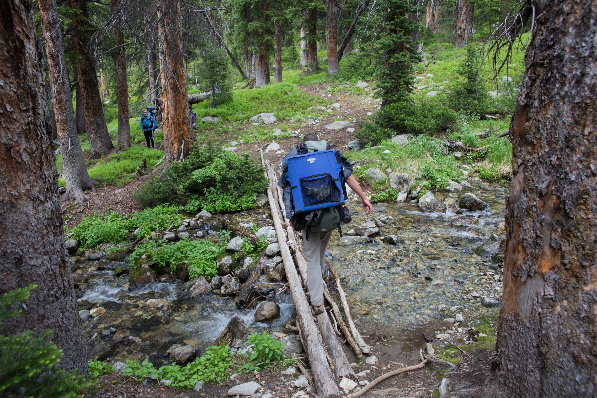 wilderness-83.jpg
