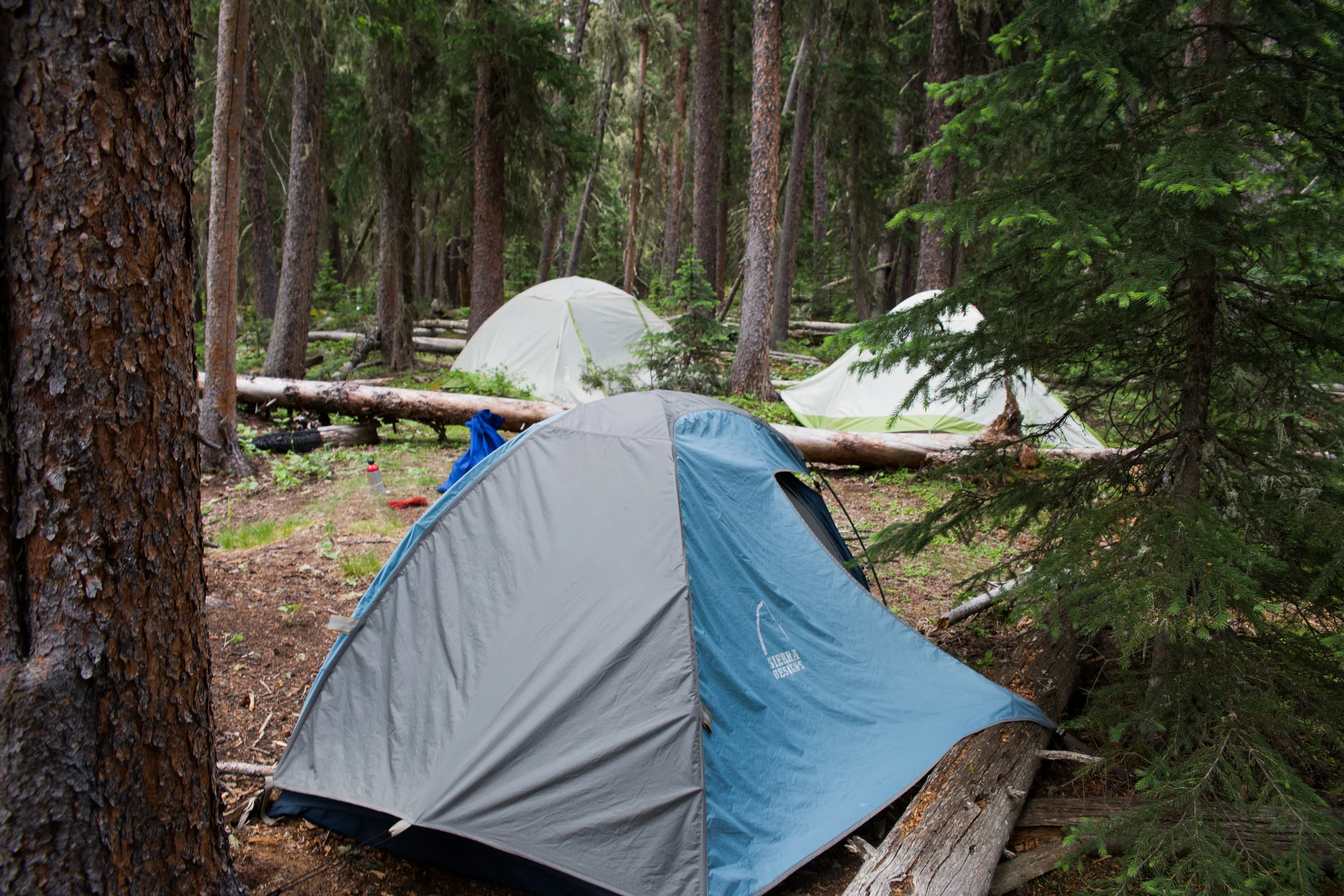 wilderness-85.jpg
