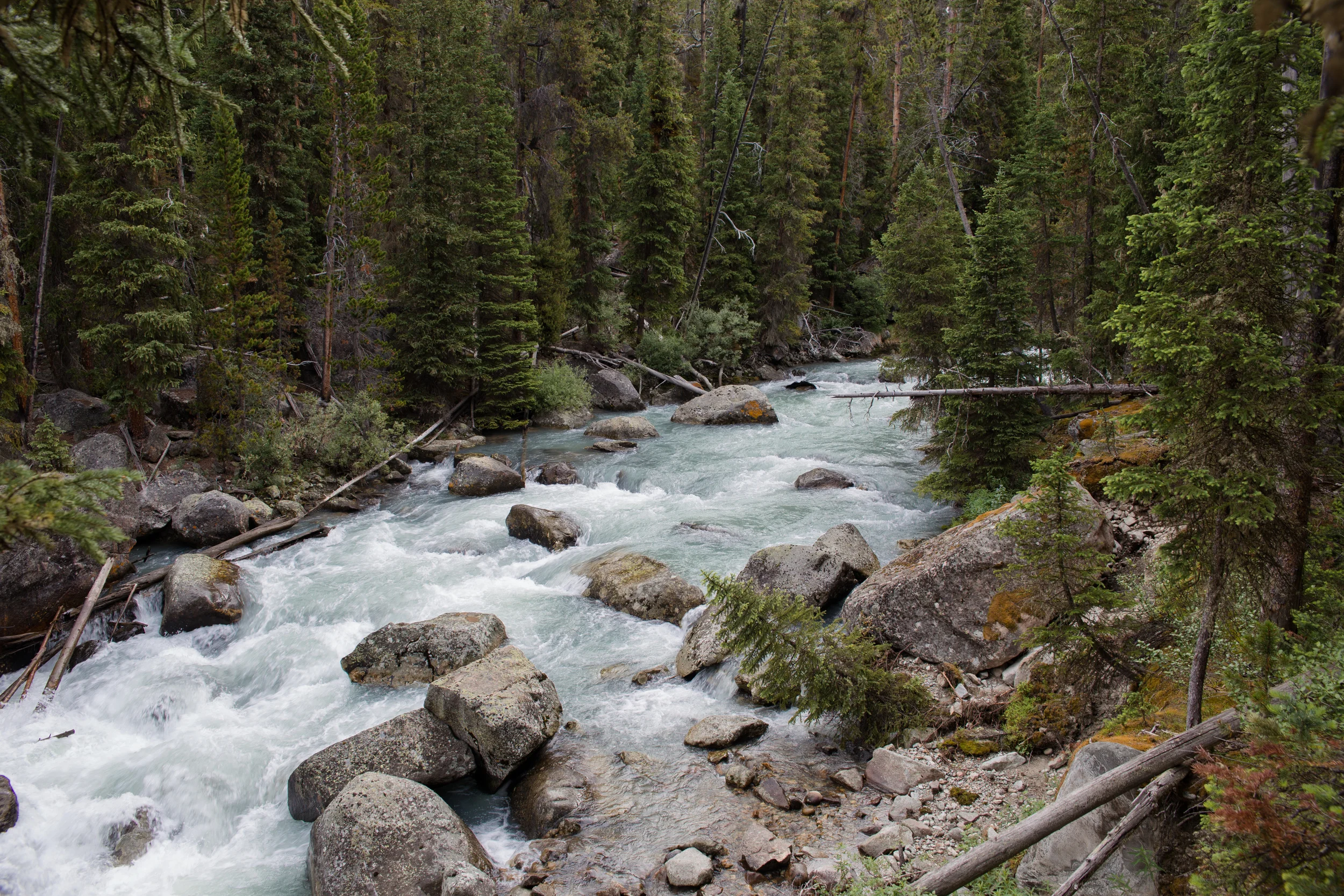 wilderness-88.jpg