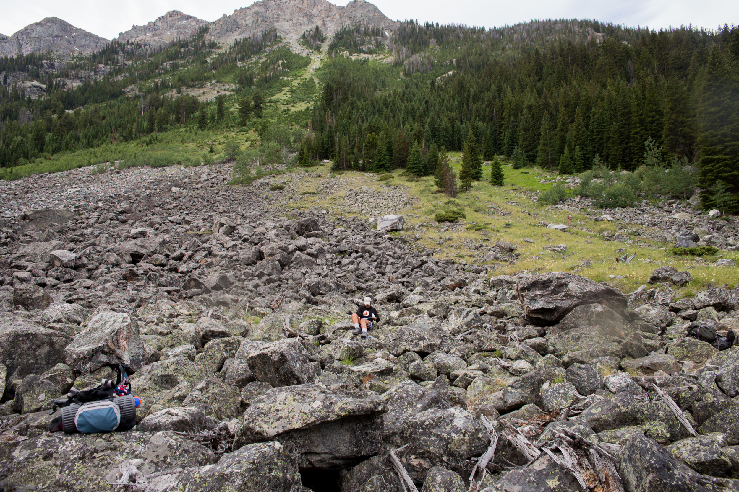 wilderness-89.jpg