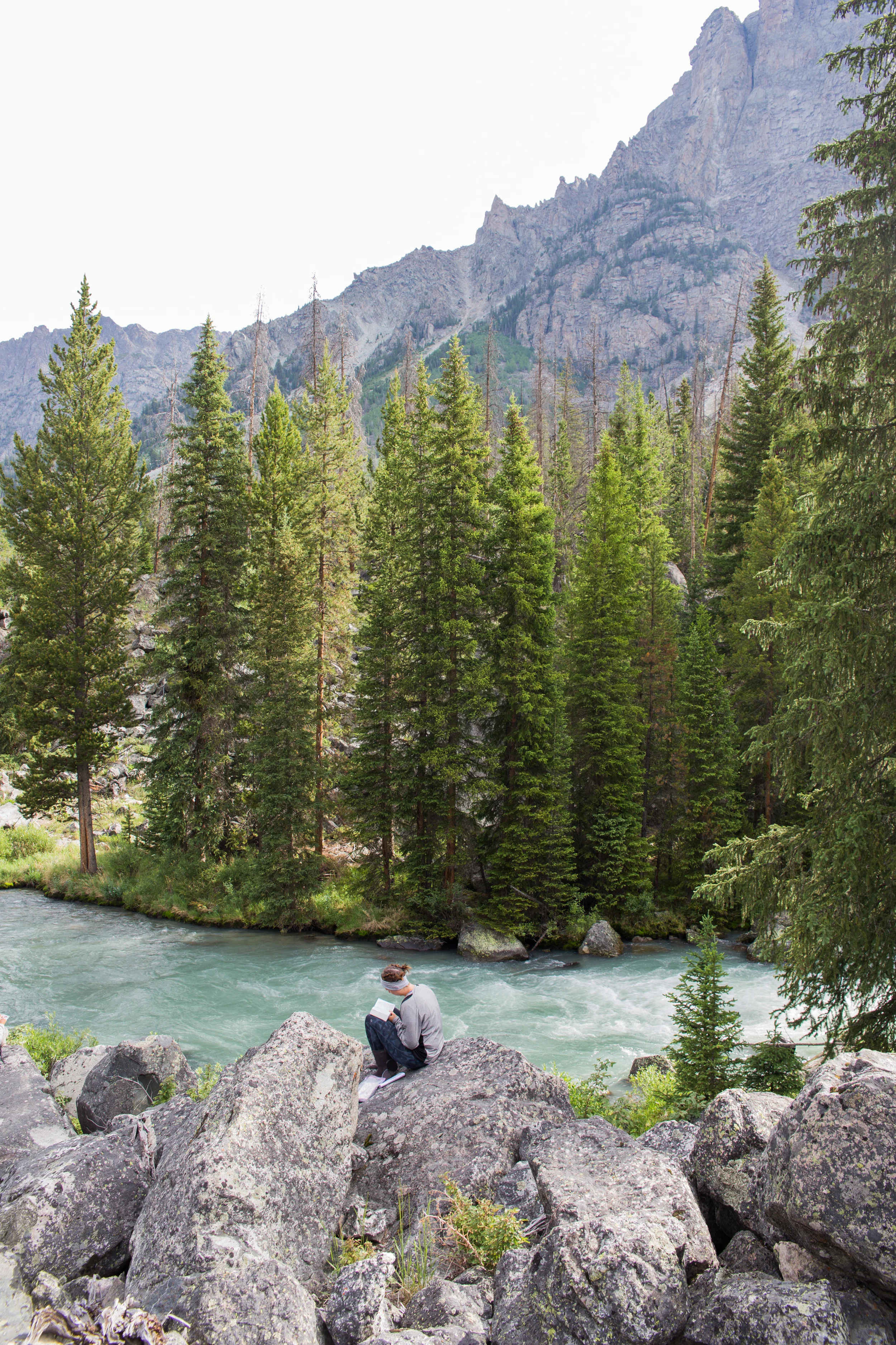 wilderness-90.jpg
