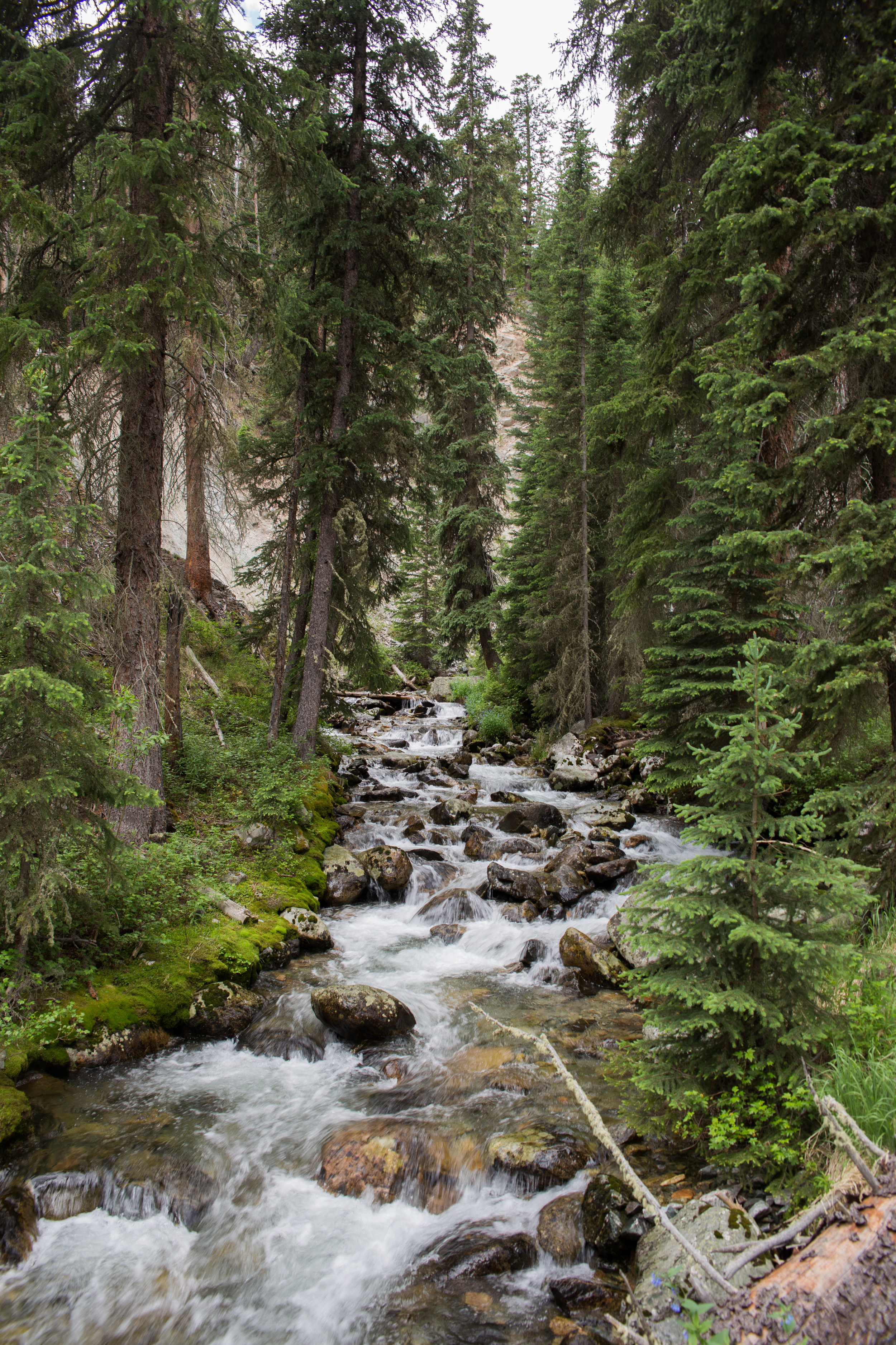 wilderness-93.jpg