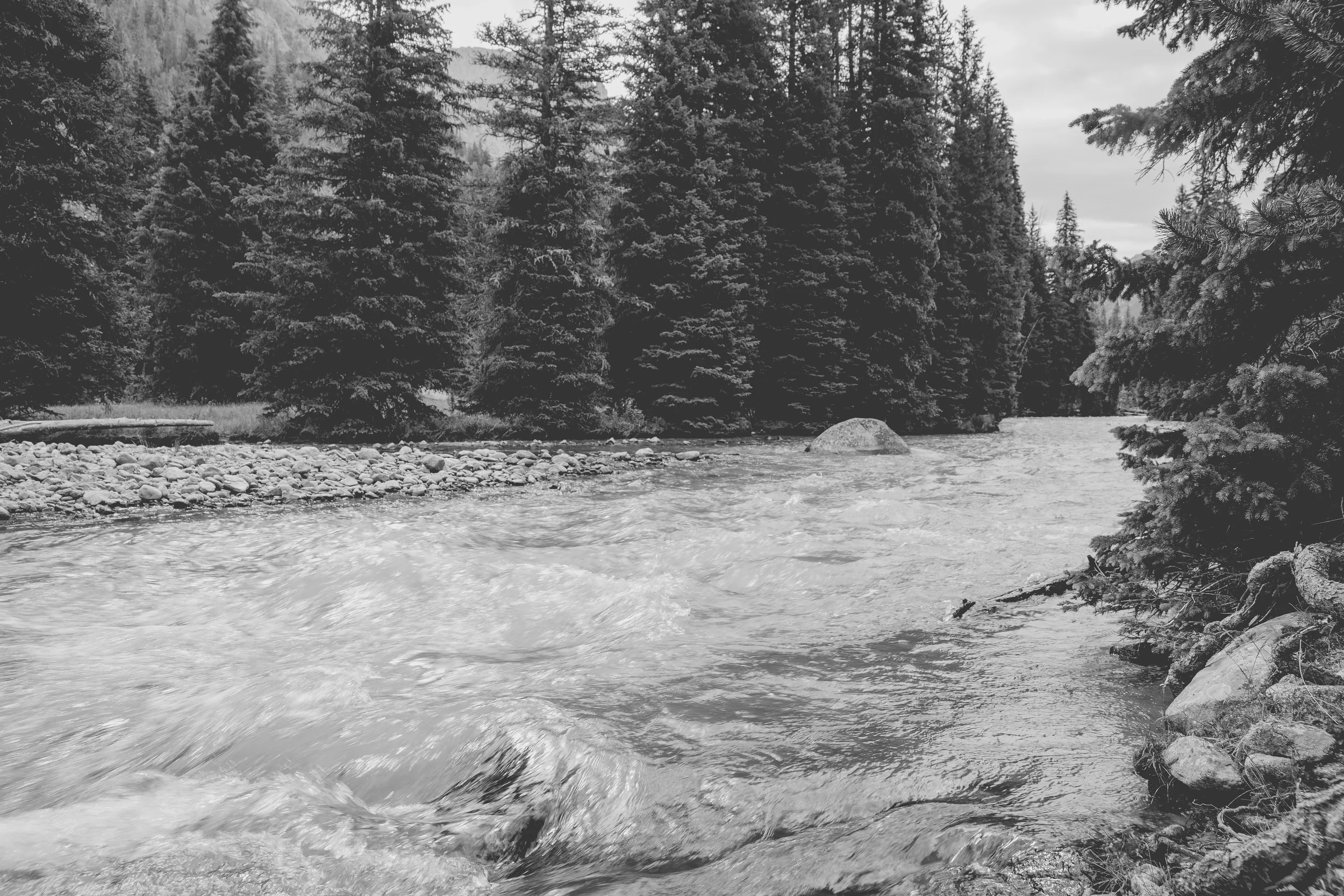 wilderness-94.jpg