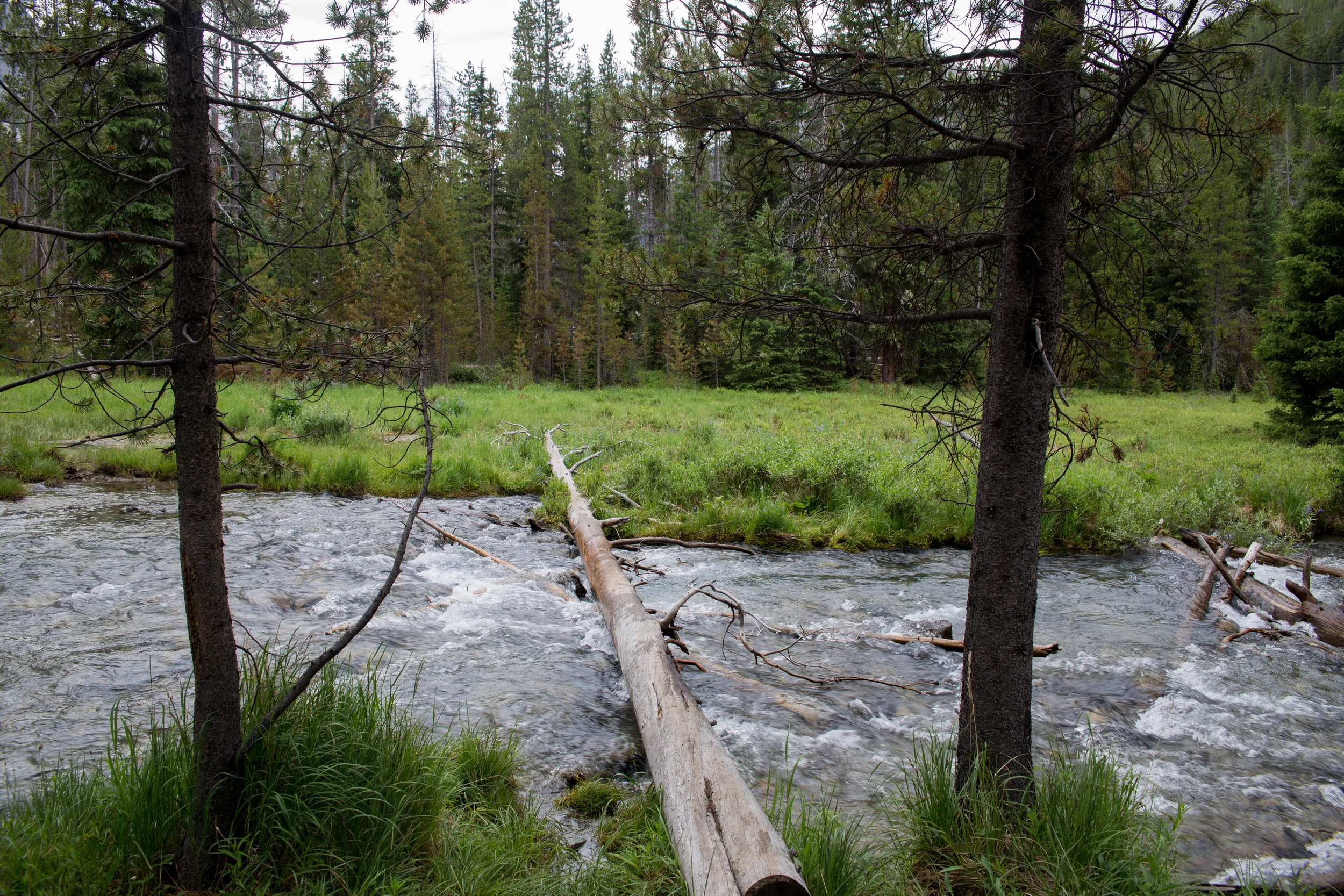 wilderness-96.jpg